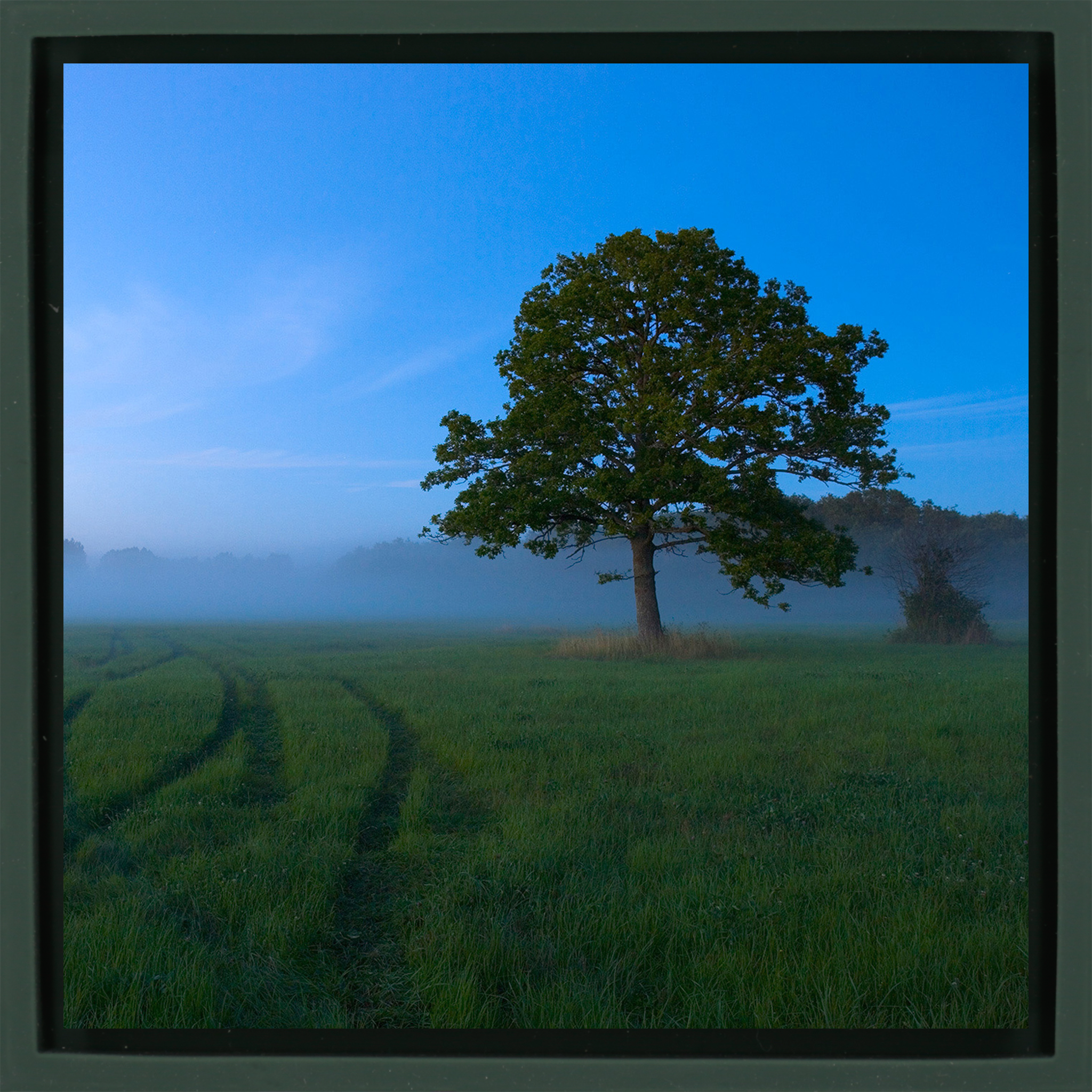 White Nights - Dark Green Wrapp