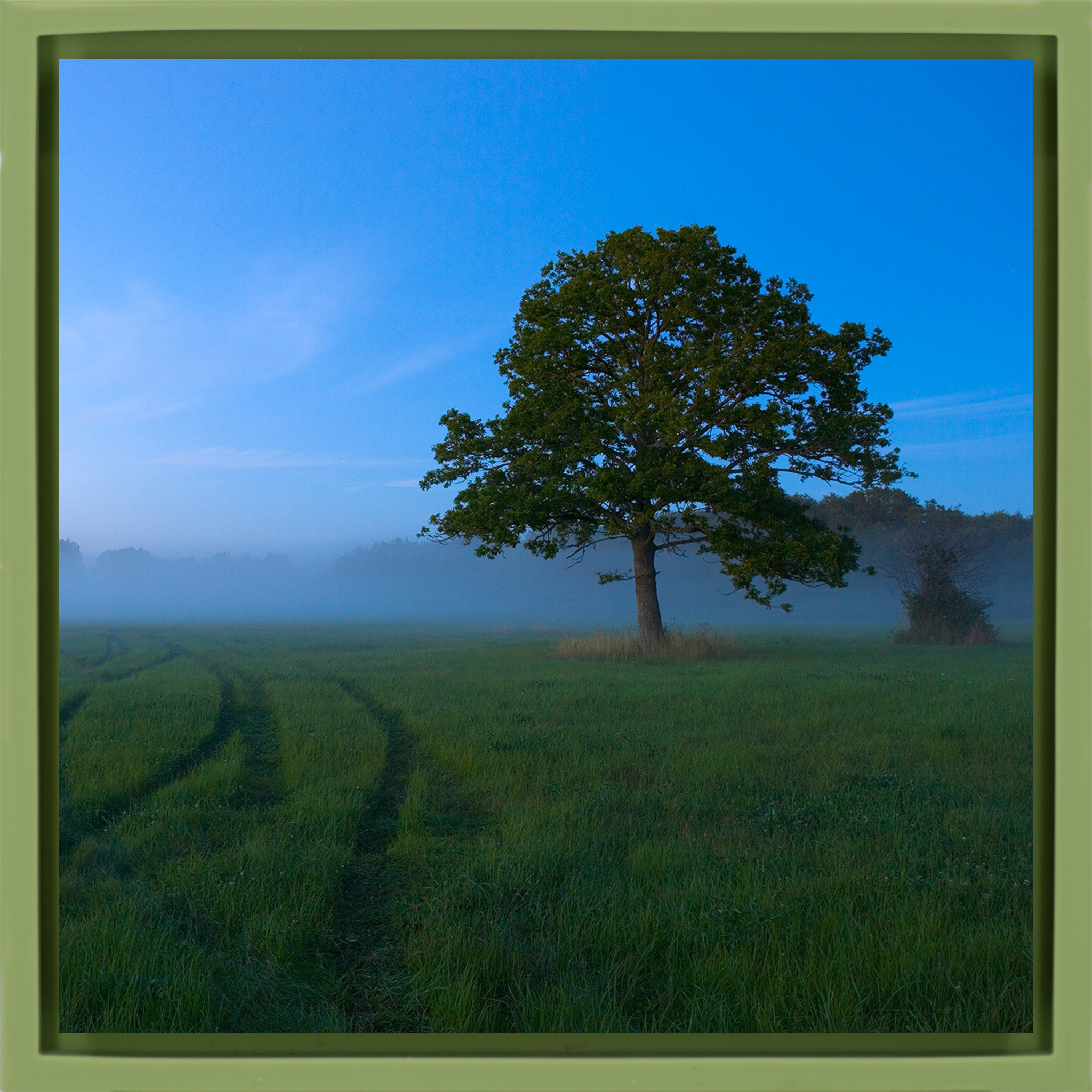 White Nights - Light Green Wrapp