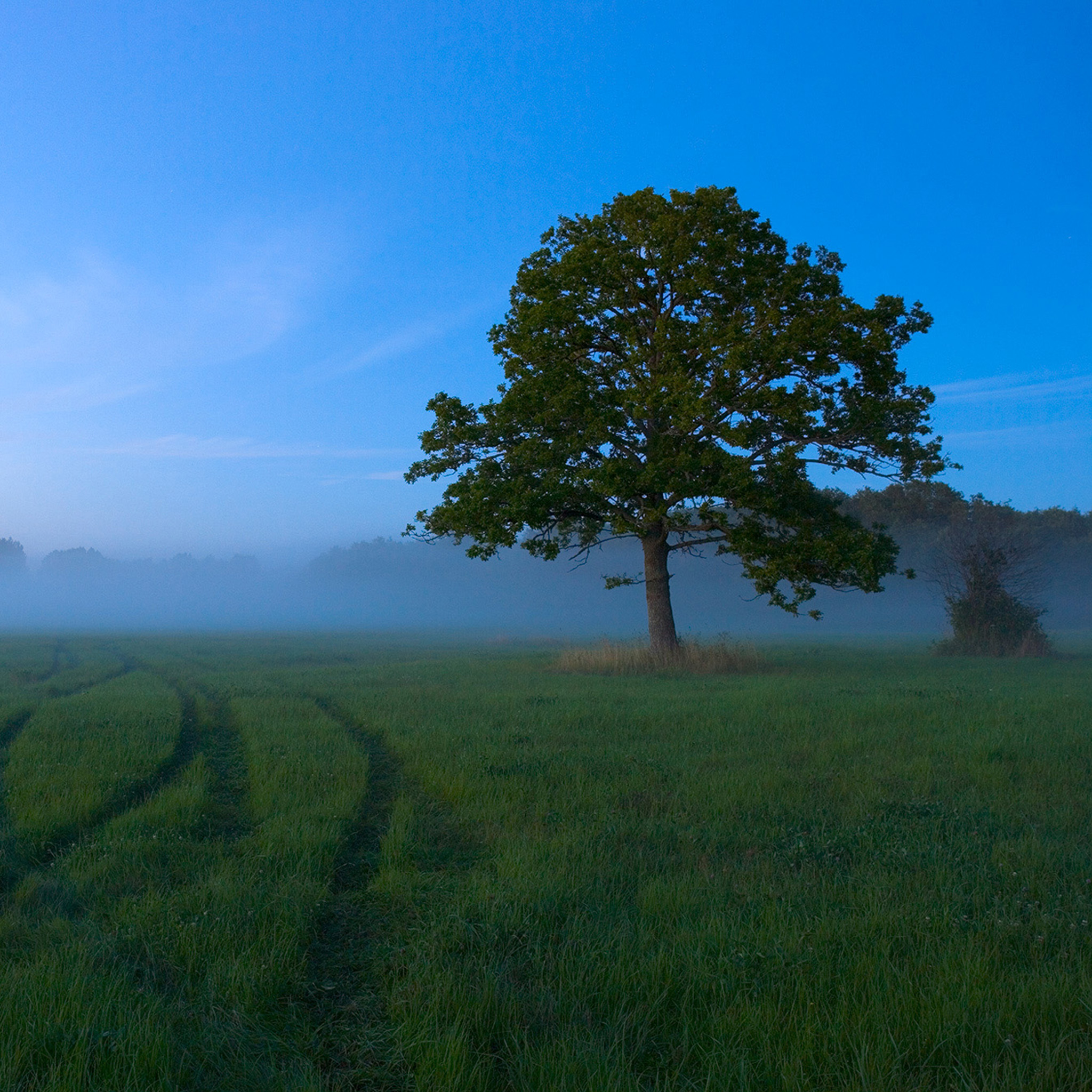 White Nights - Collection: Estonia