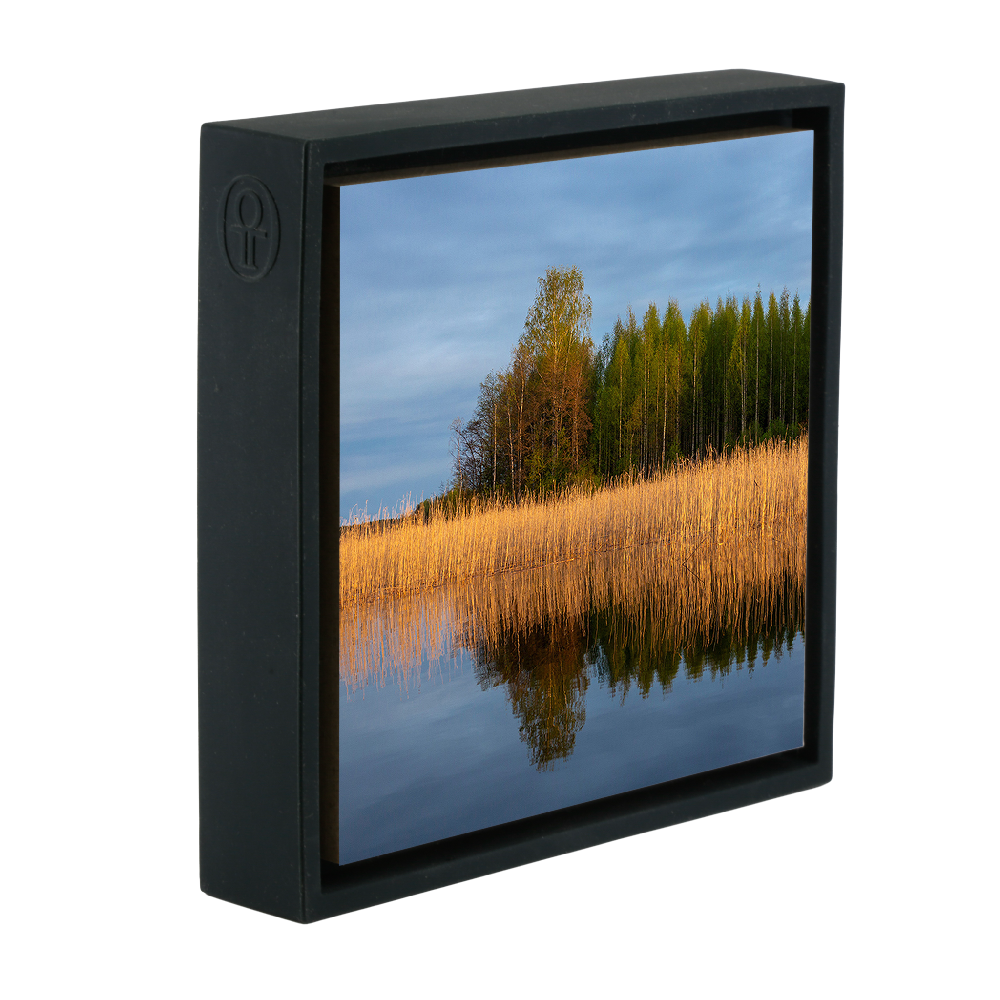 Reedbed - Zwarte Wrapp
