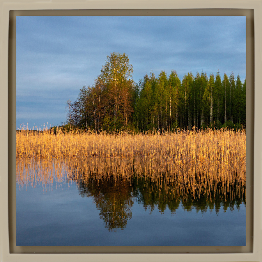 Reedbed - Zandkleurige Wrapp