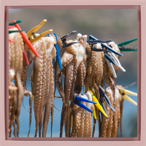 Octopus - Roze Wrapp