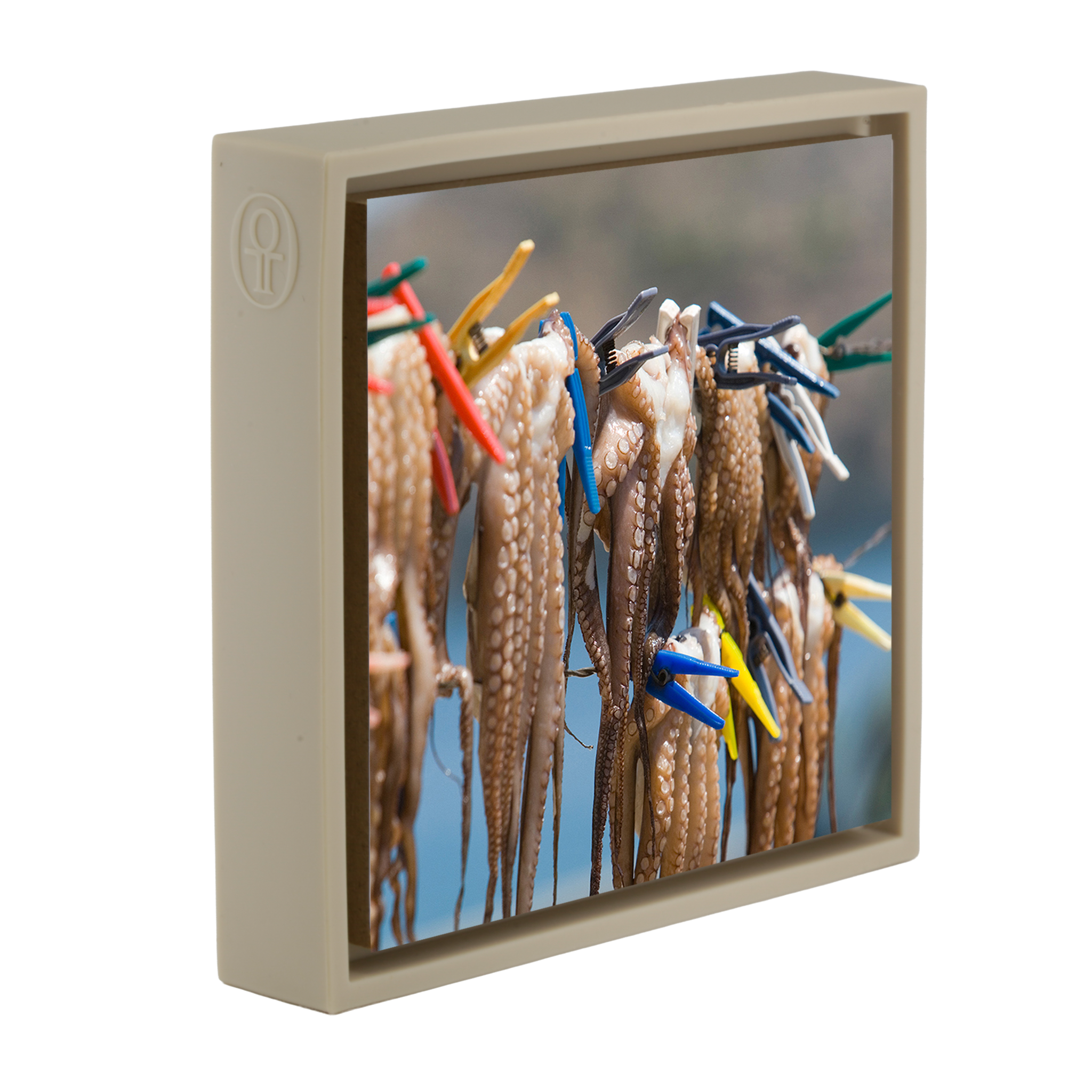 Octopus - Sand Wrapp