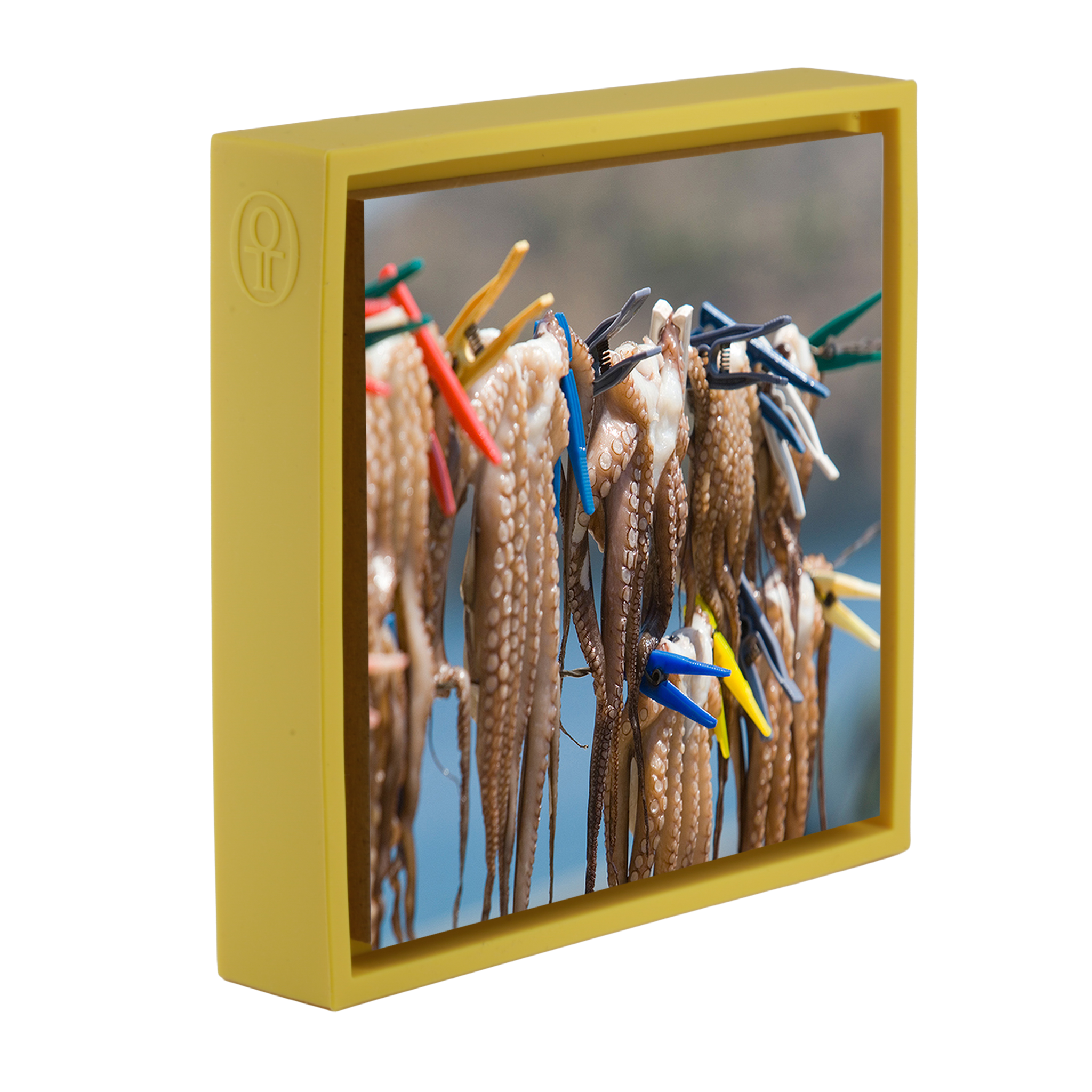 Oktopus - Gelbe Verpackung