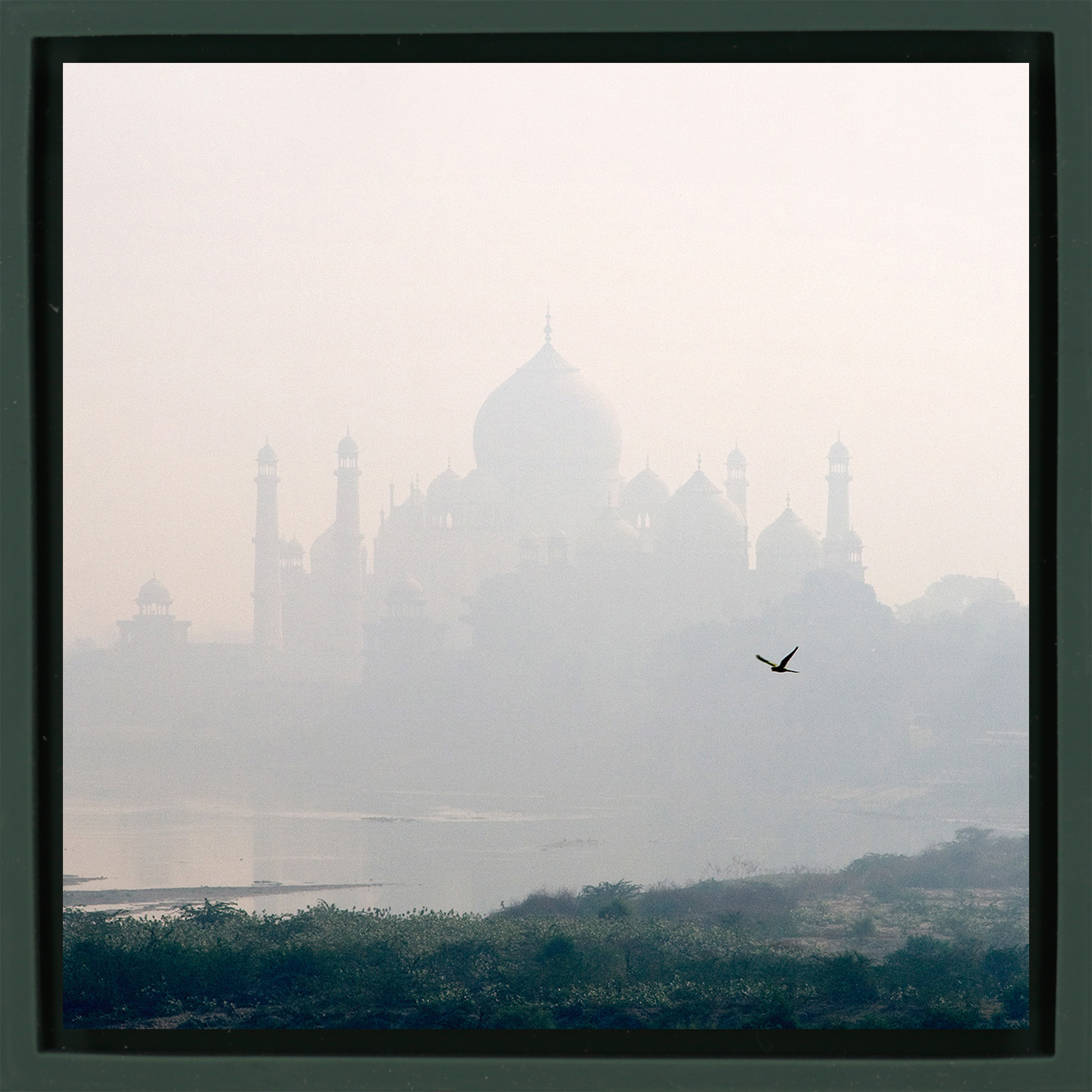 Taj Mahal - Dark Green Wrapp