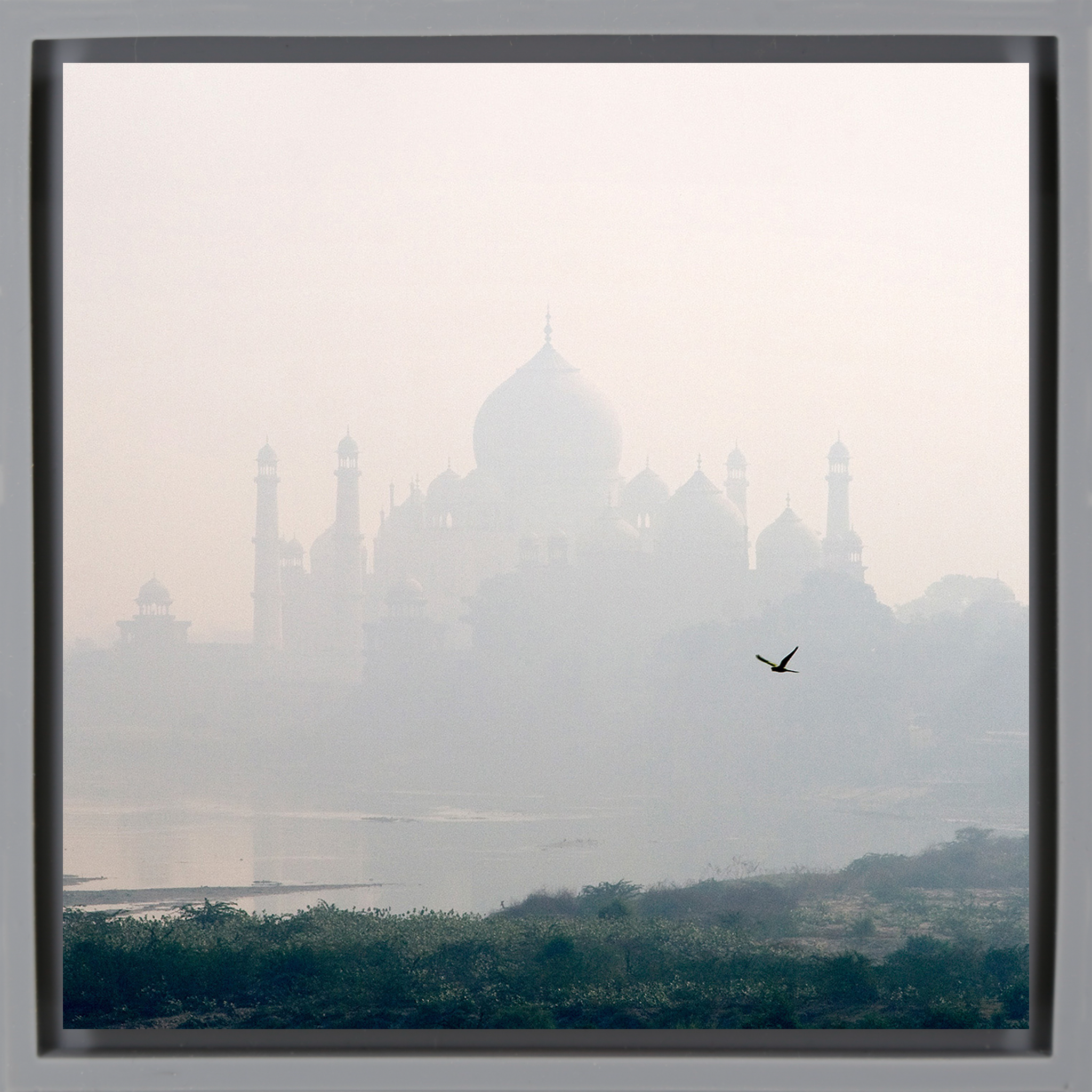 Taj Mahal - Grey Wrapp