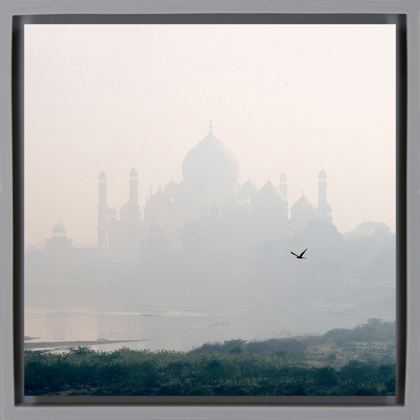 Taj Mahal - Grey Wrapp