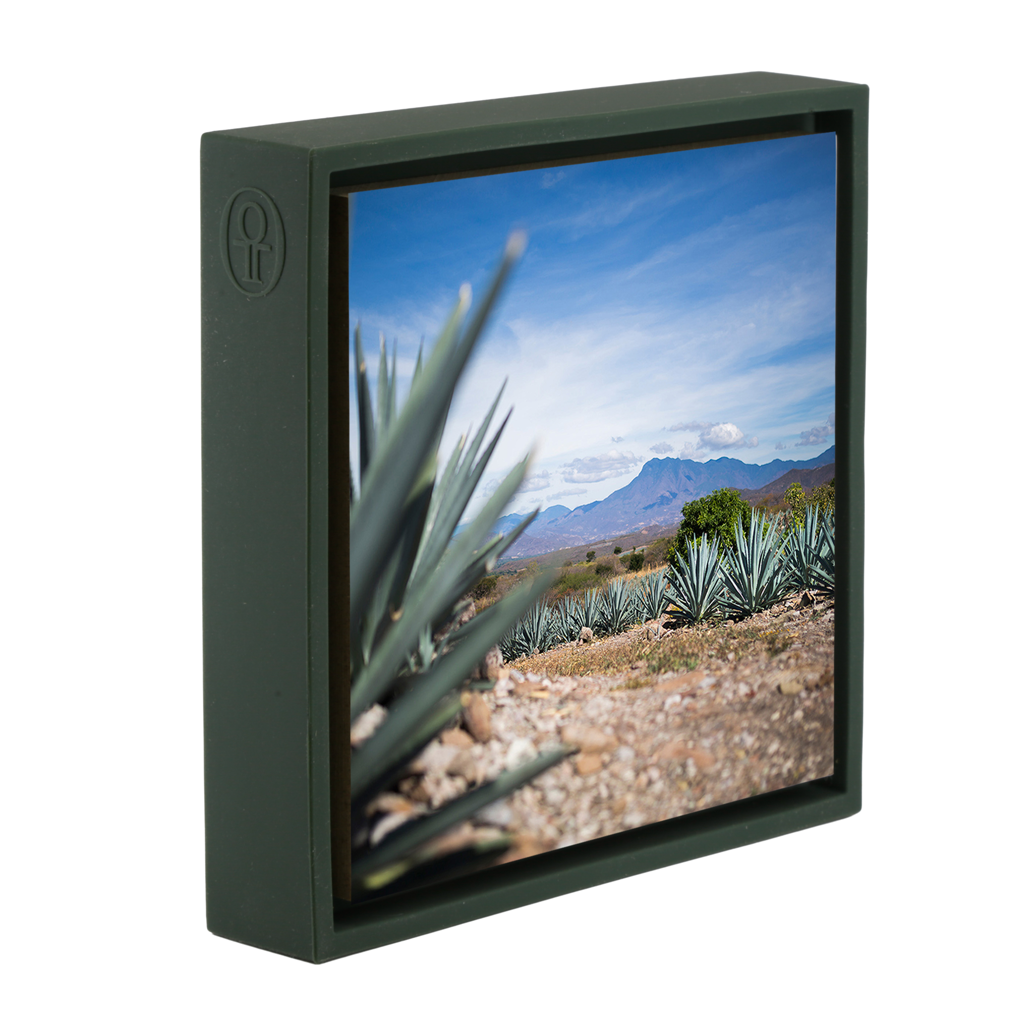 Agave- Dark Green Wrapp
