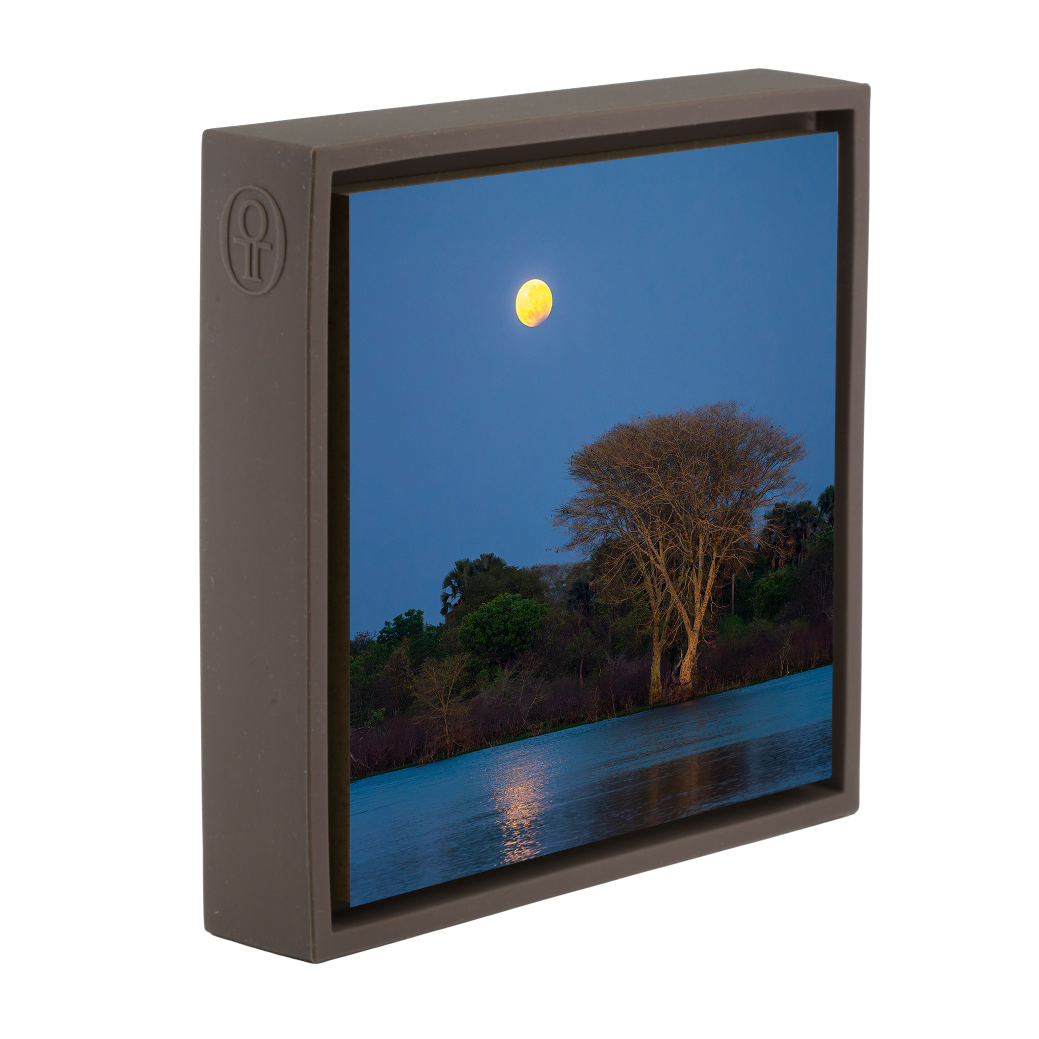 Moon Tree- Brown Wrapp