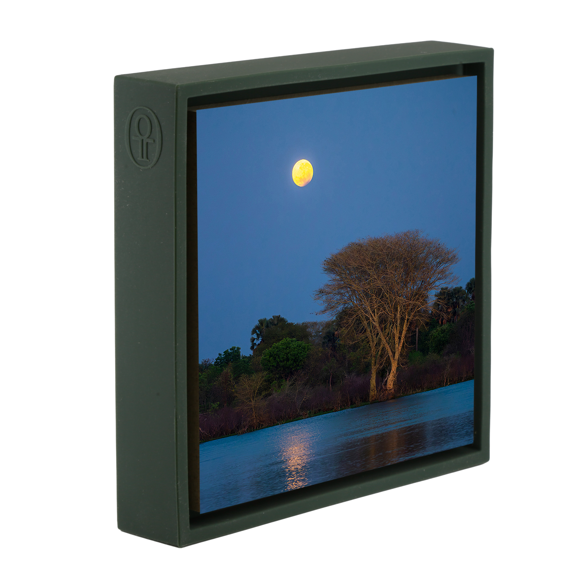 Moon Tree- Dark Green Wrapp