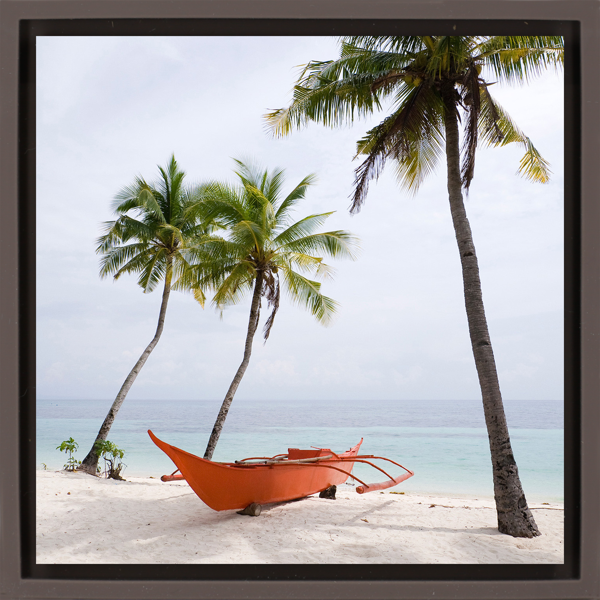 Palm Beach - Brown Wrapp