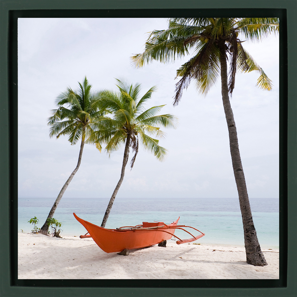 Palm Beach