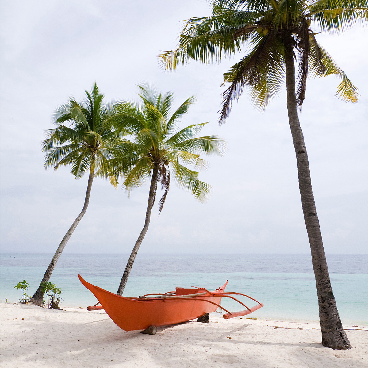 Palm Beach