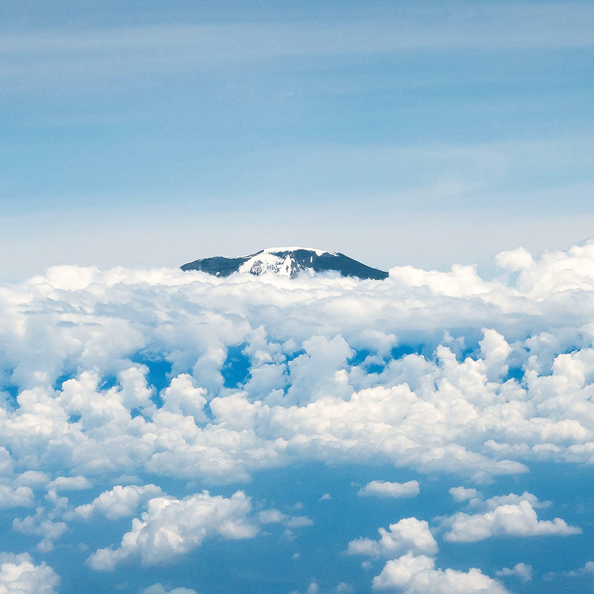 Kilimanjaro - Kollektion: Tansania