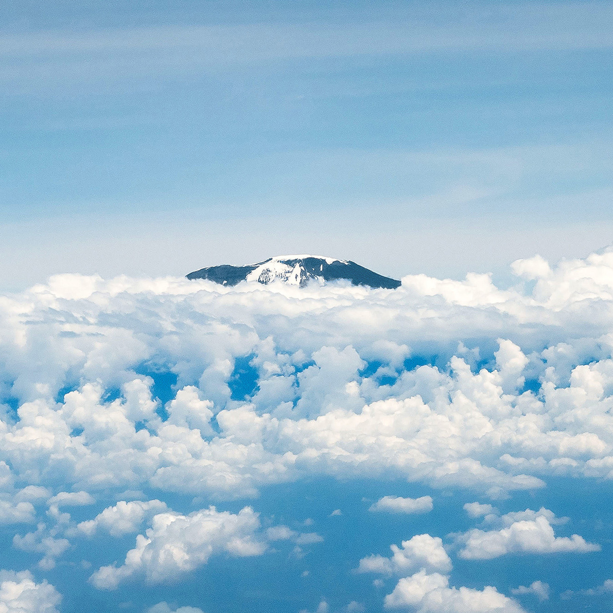 Kilimanjaro - Collection: Tanzania