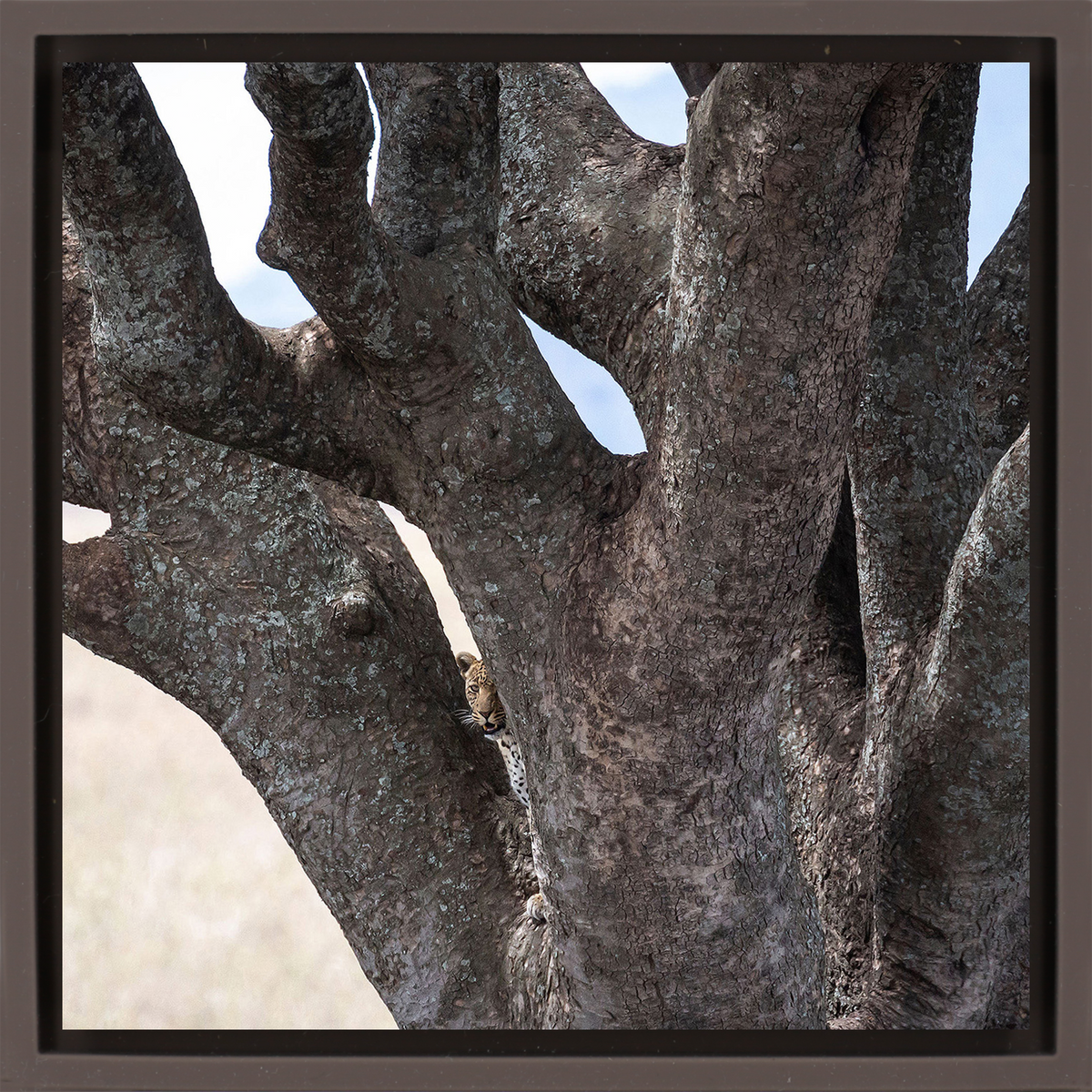 Lion Tree