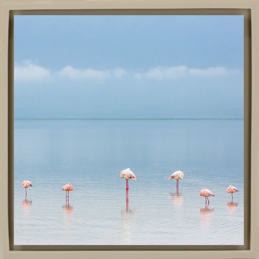 Flamengos - Zandkleurige Wrapp