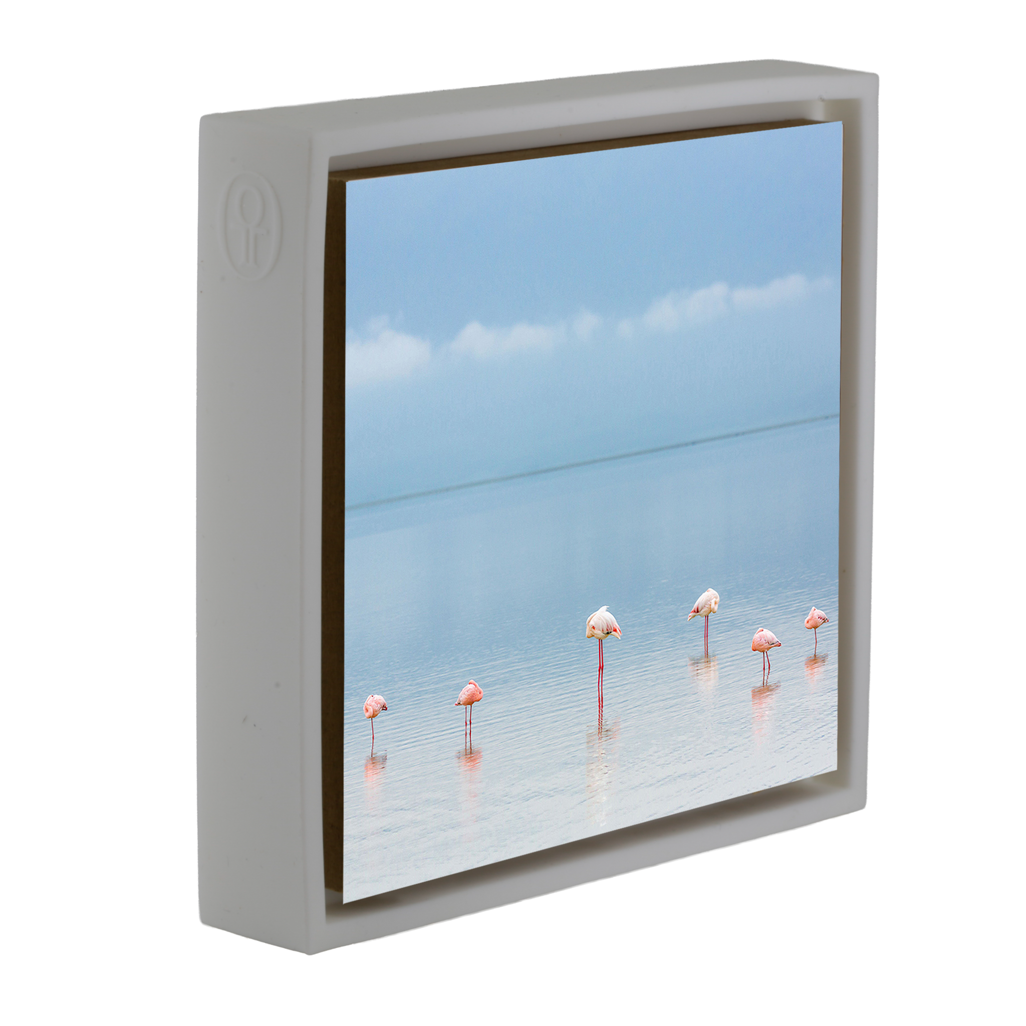 Flamengos - White Wrapp