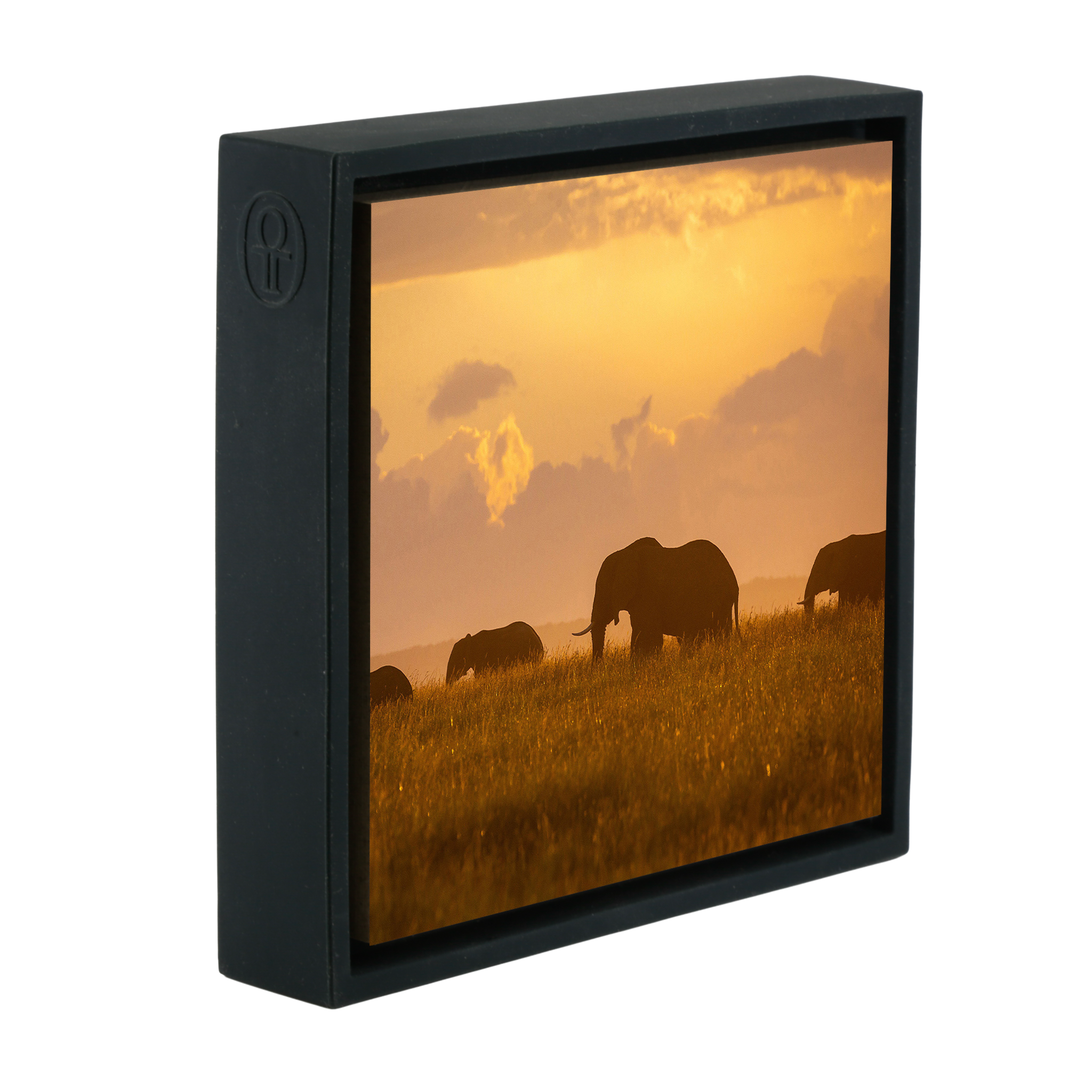 Orange Elephants - Black Wrapp