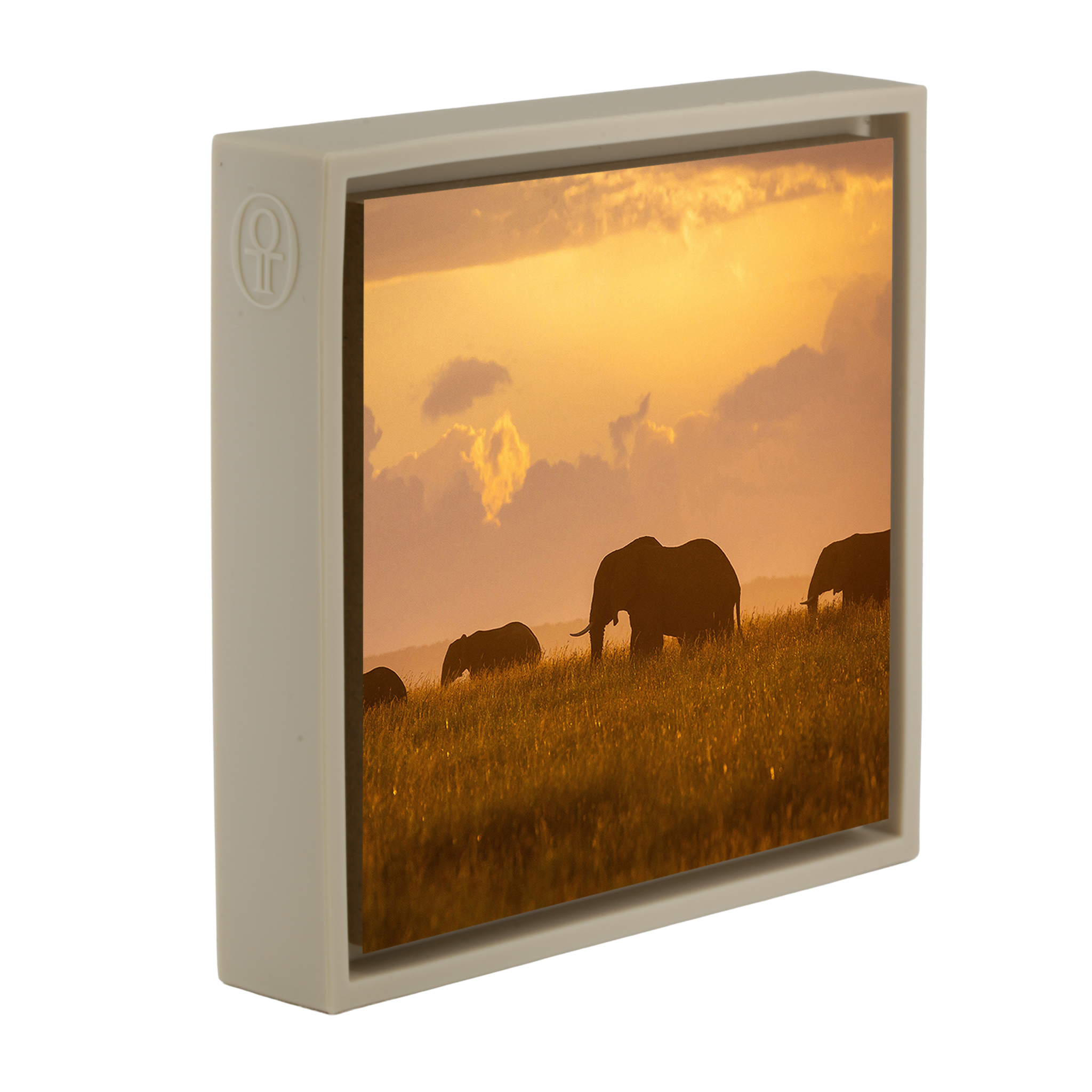 Orange Elephants - Sand Wrapp