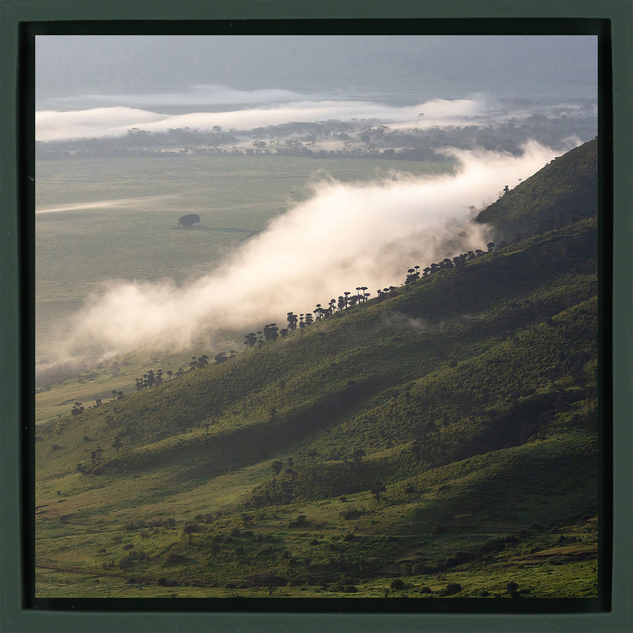 Foggy Hill - Donkergroene Wrapp