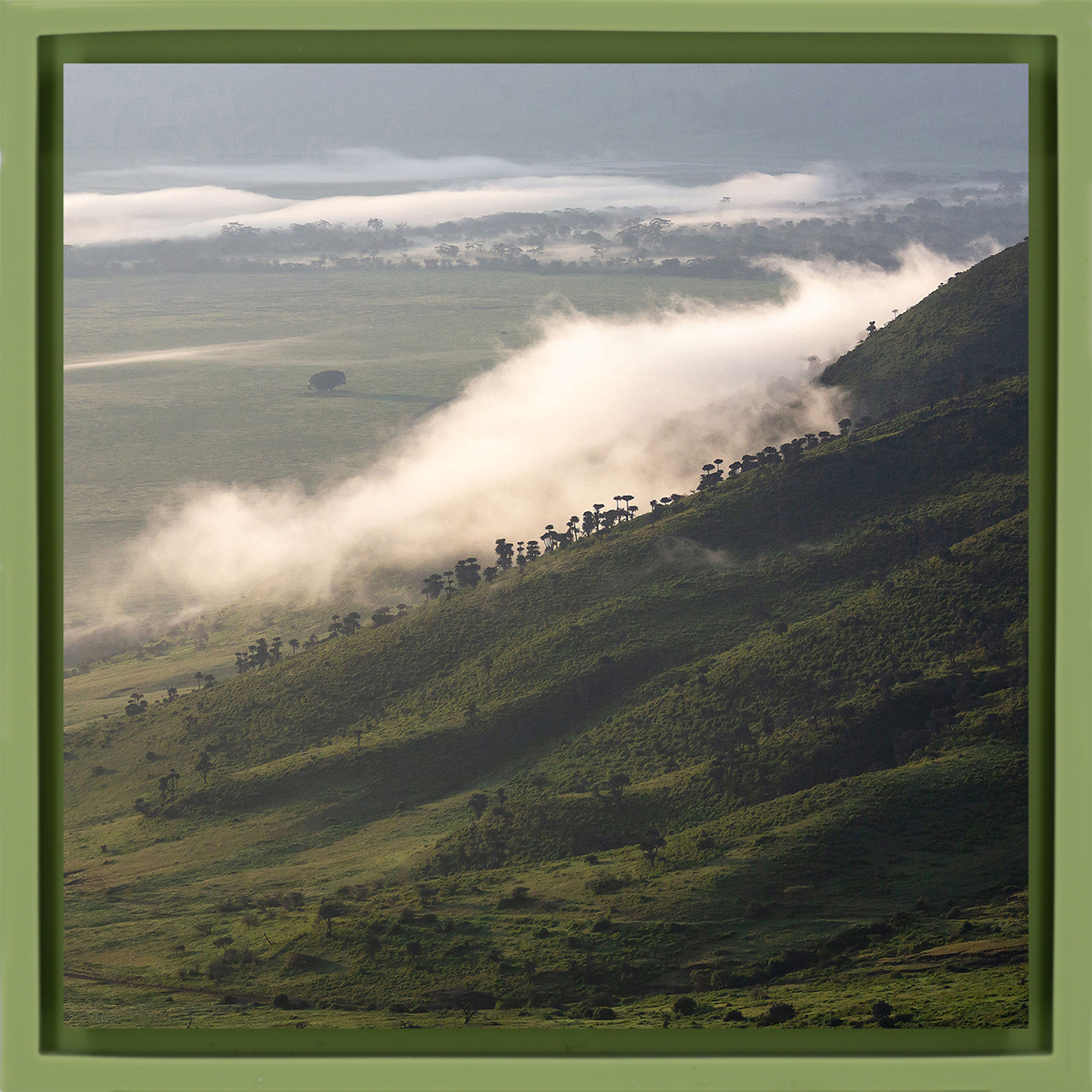 Foggy Hill - Light Green Wrapp