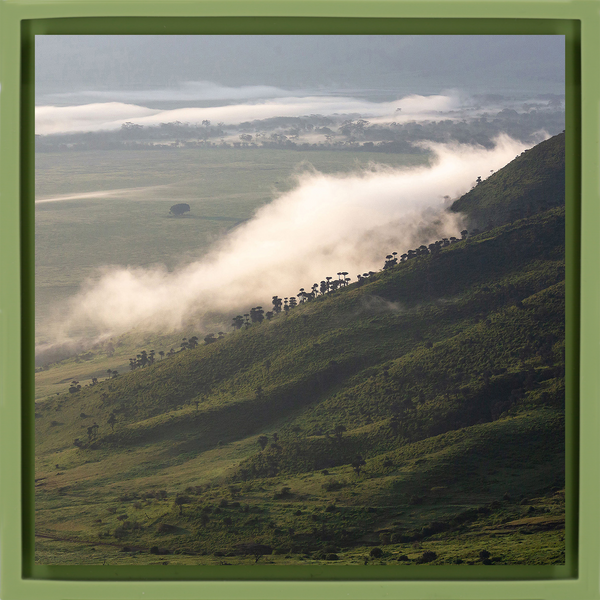 Foggy Hill - Light Green Wrapp