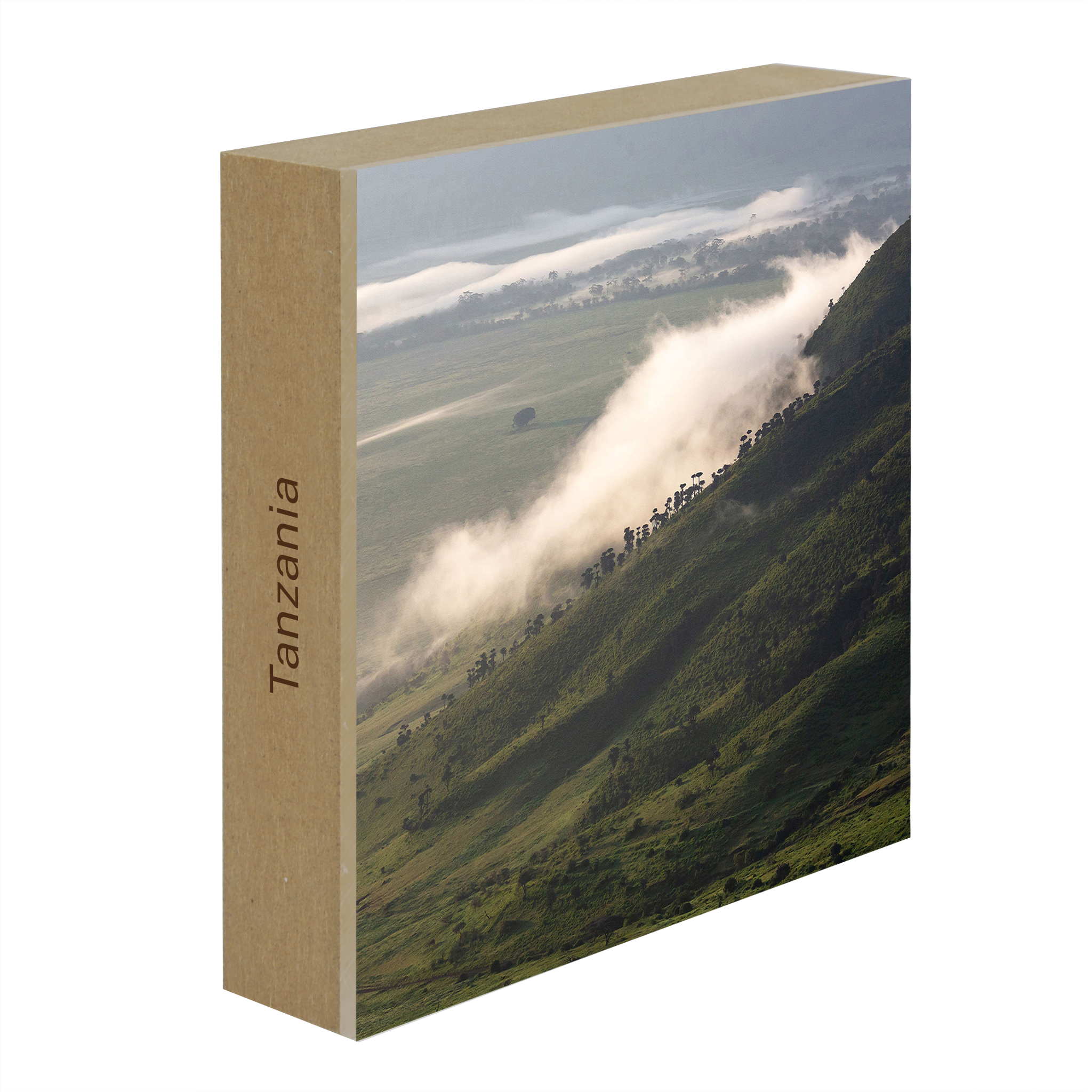Foggy Hill - Collection: Tanzania