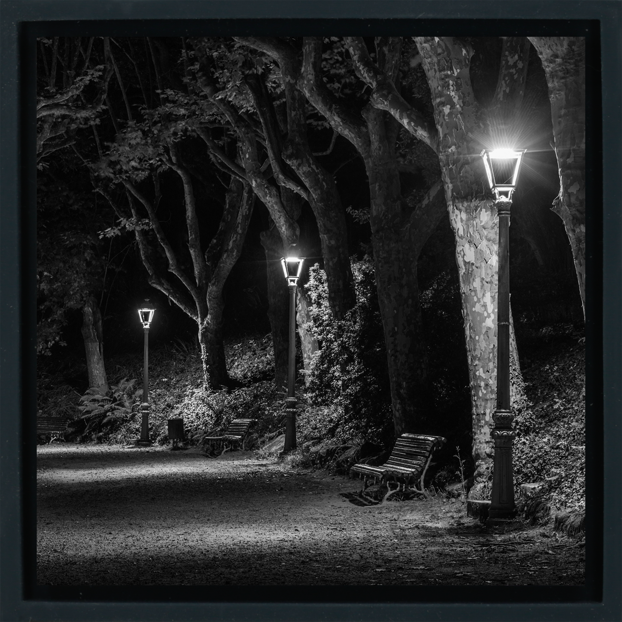 The Dark Path- Black Wrapp