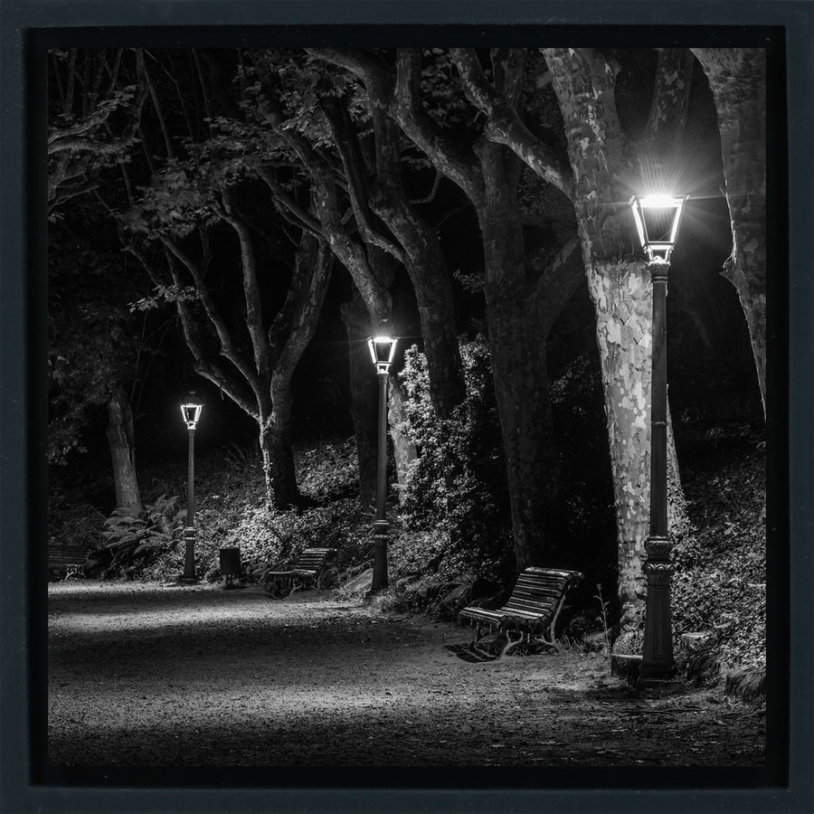 The Dark Path - Black Wrapp