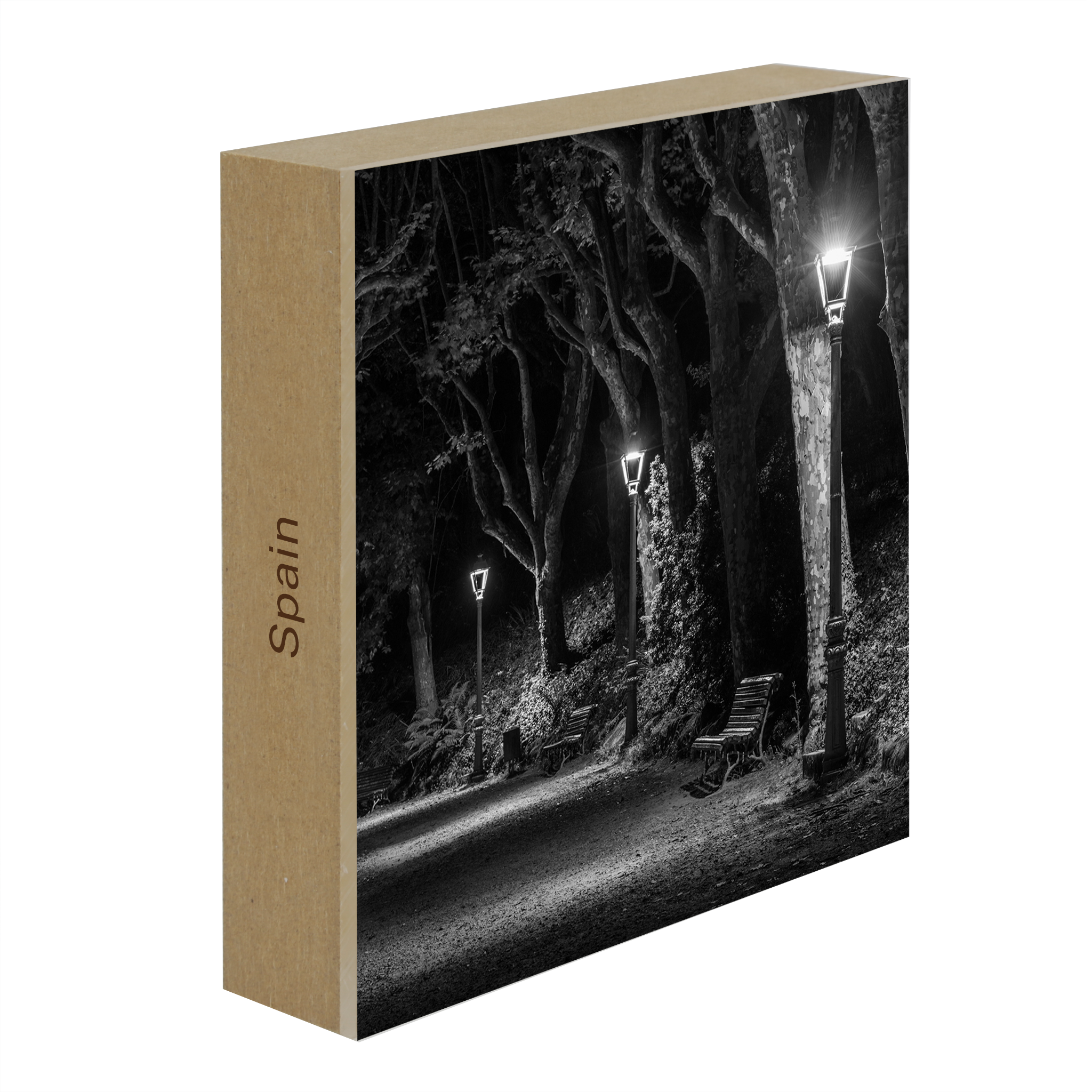 The Dark Path- Collection: Spain