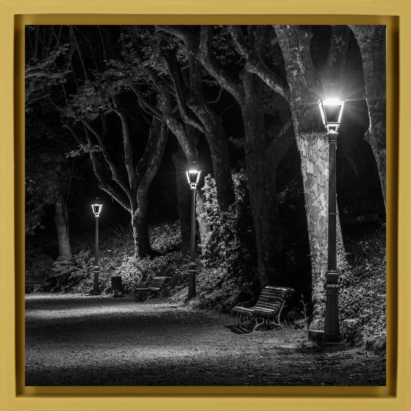 The Dark Path - Okergele Wrapp