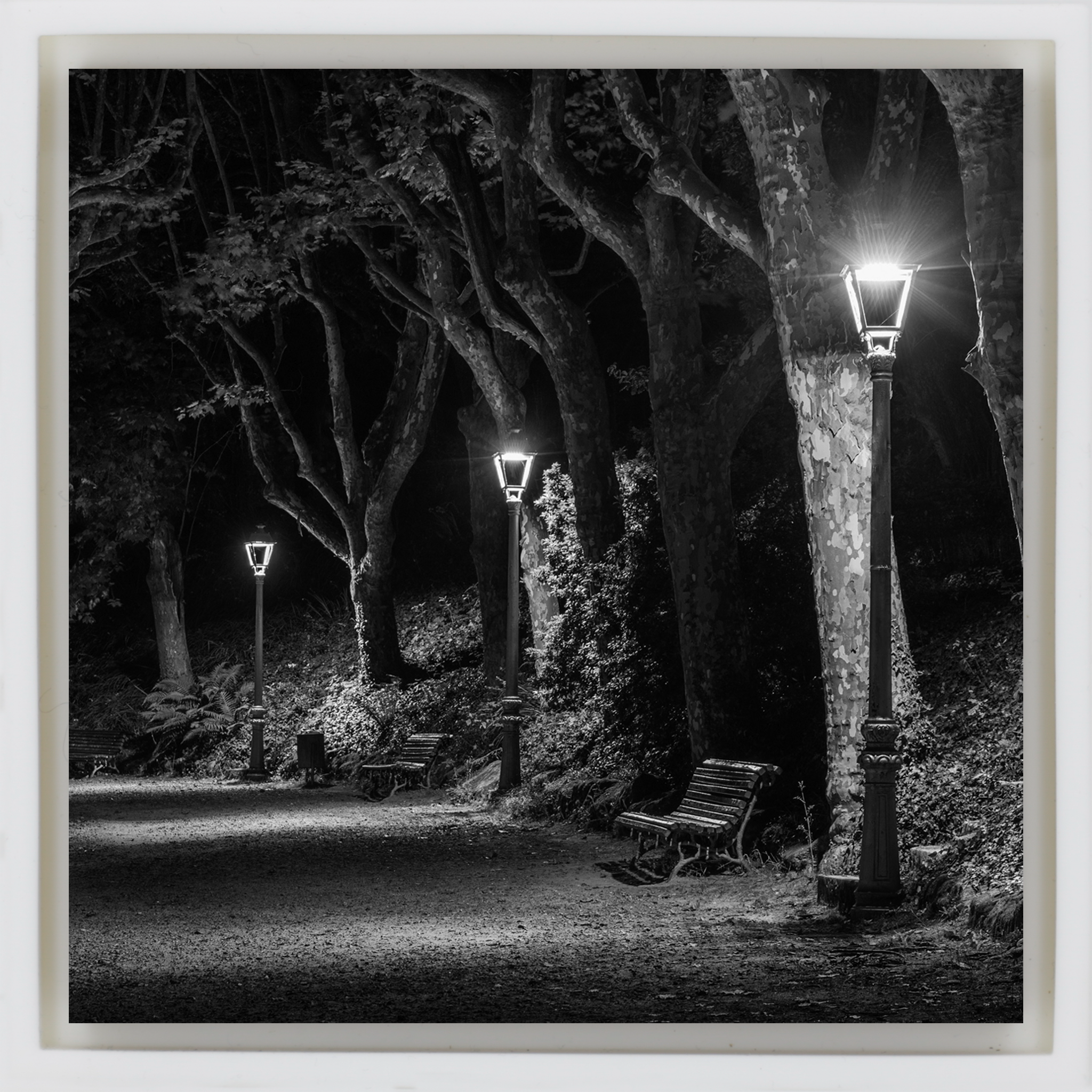 The Dark Path- White Wrapp