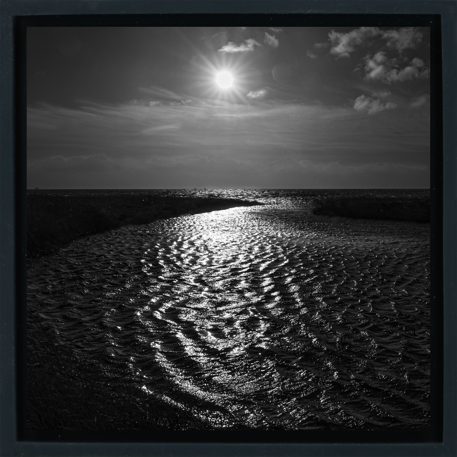 Waterway - Black Wrapp