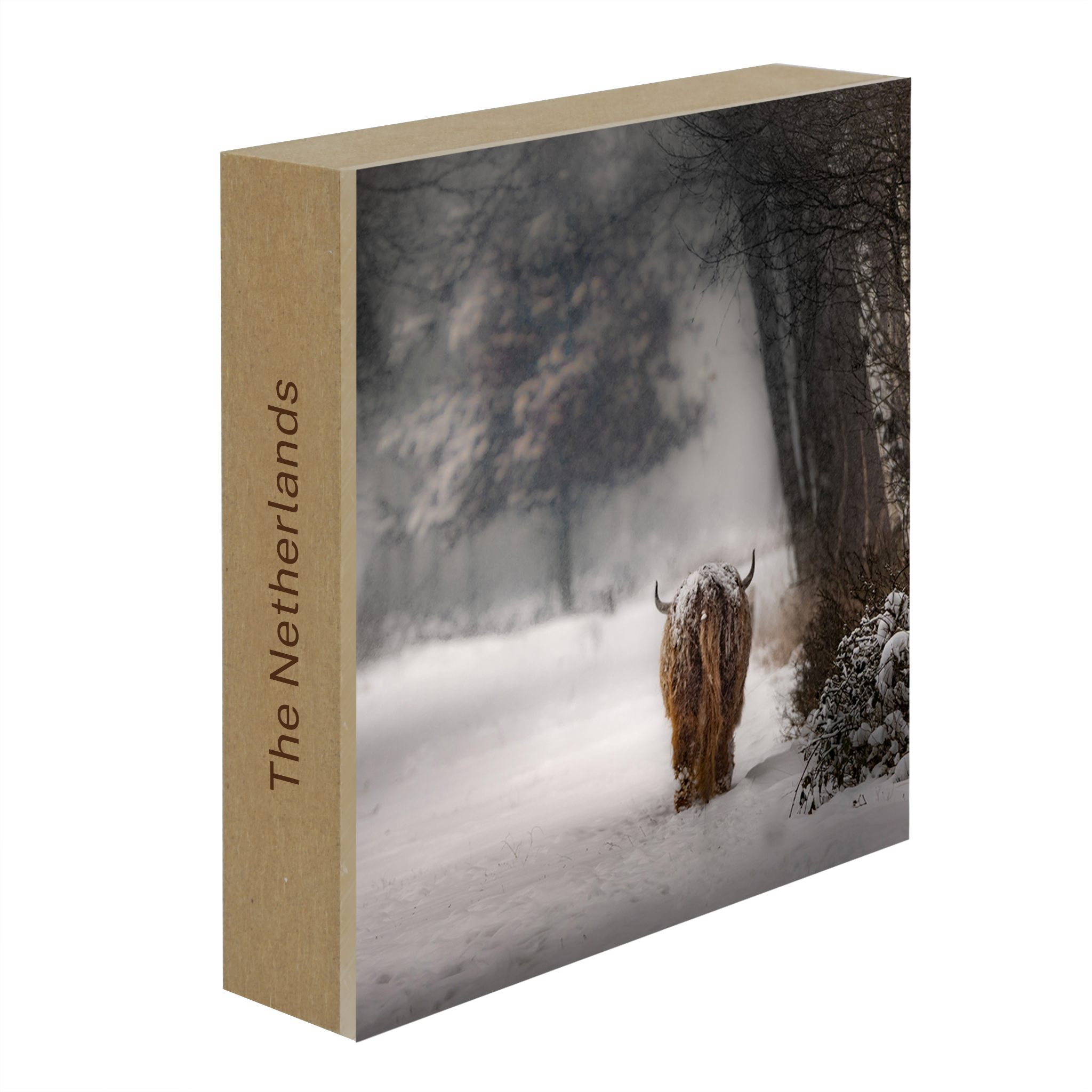 Highlander- Collection: The Netherlands