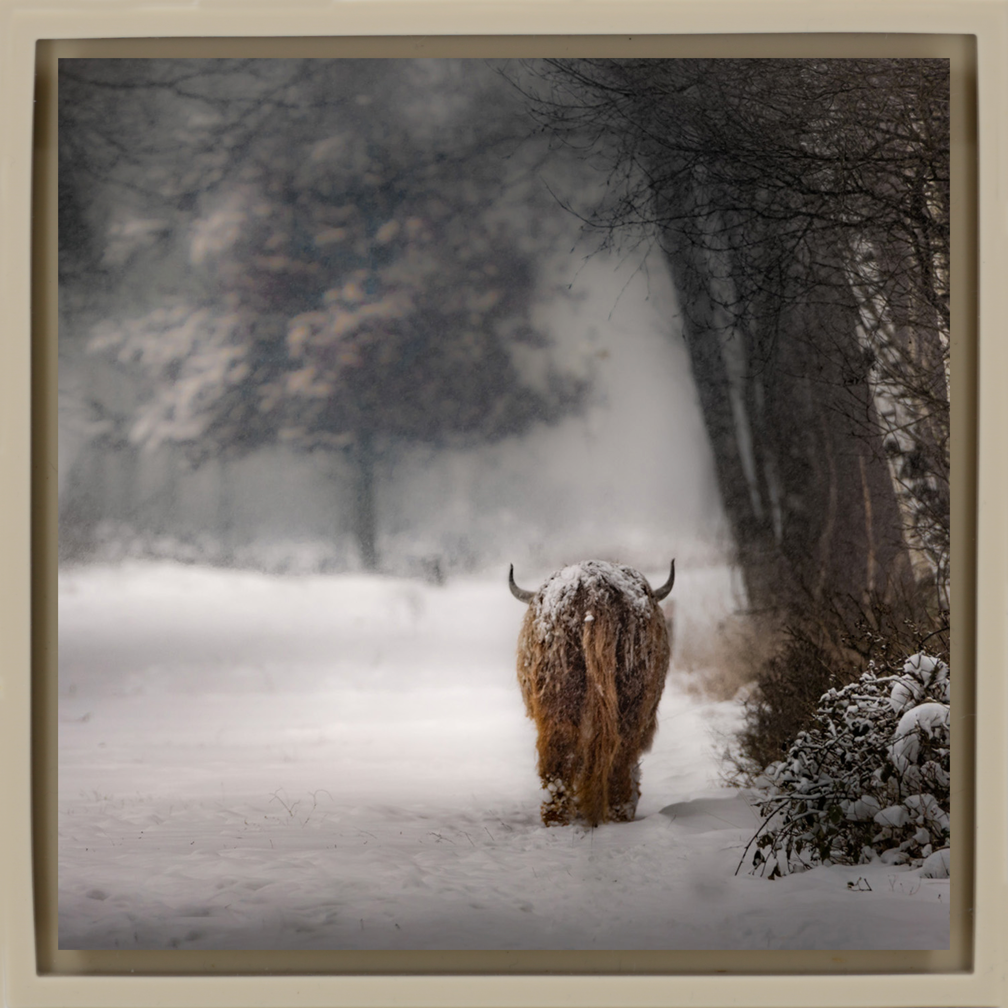 Highlander - Zandkleurige Wrapp