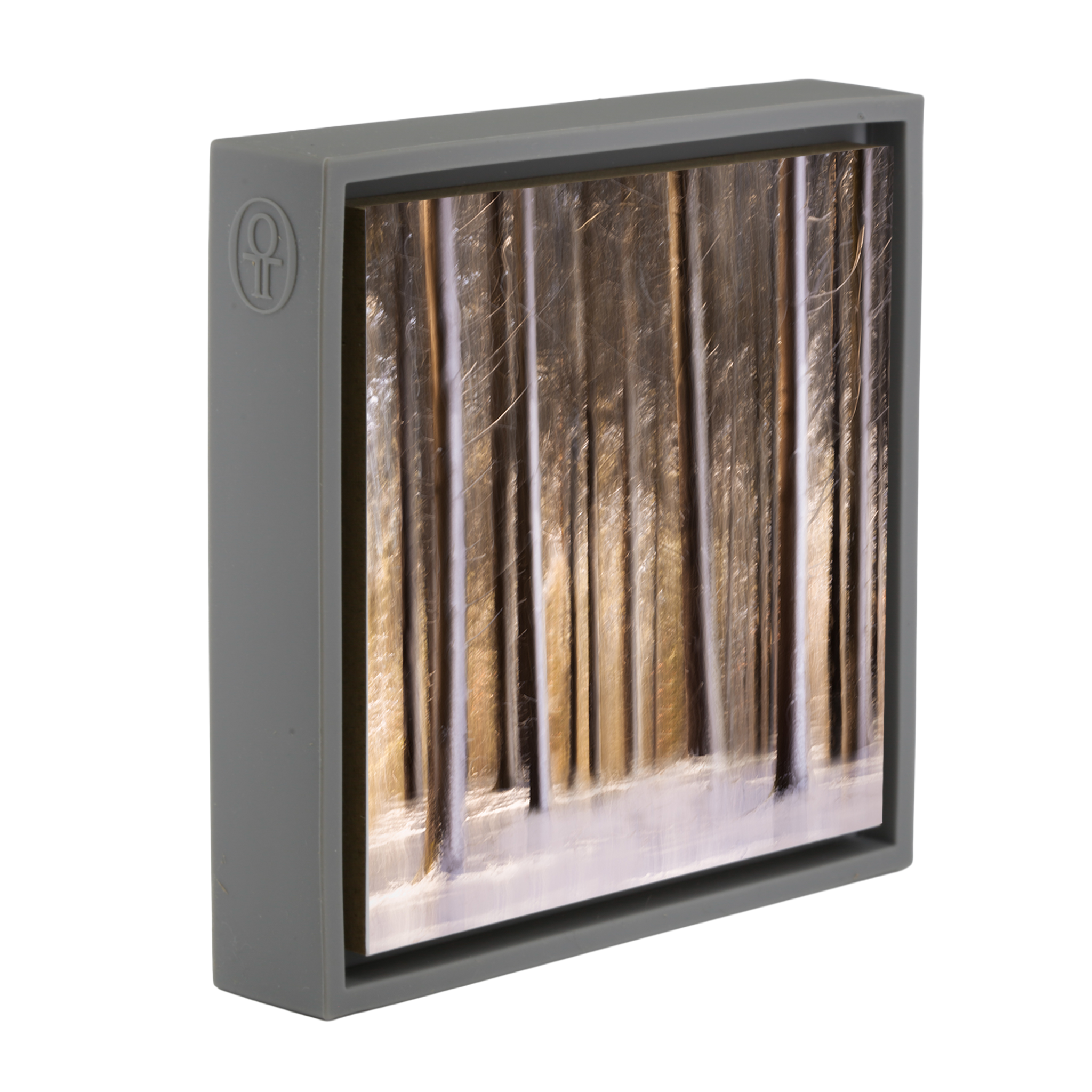 Forêt ensoleillée sous la neige - Enveloppe grise