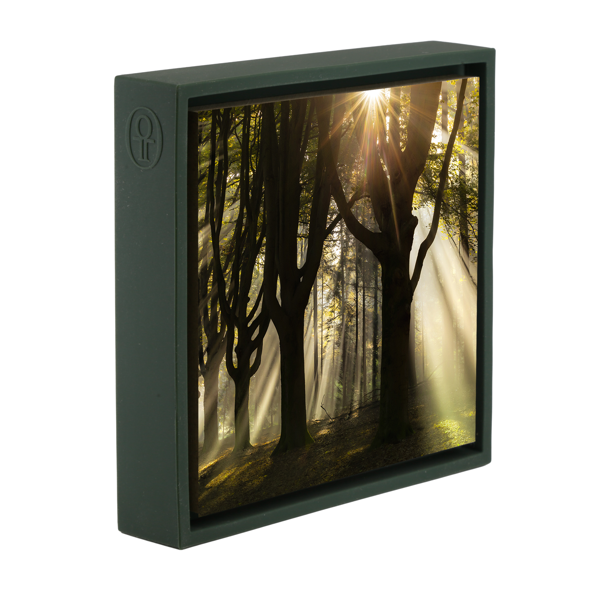 God Rays – Dunkelgrüne Verpackung