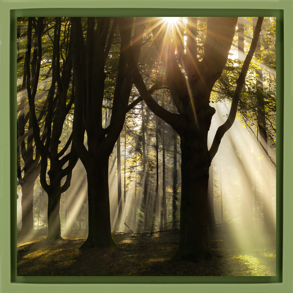 God Rays