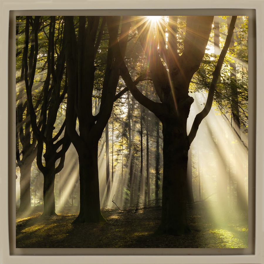 God Rays - Sandfarbene Wrapp