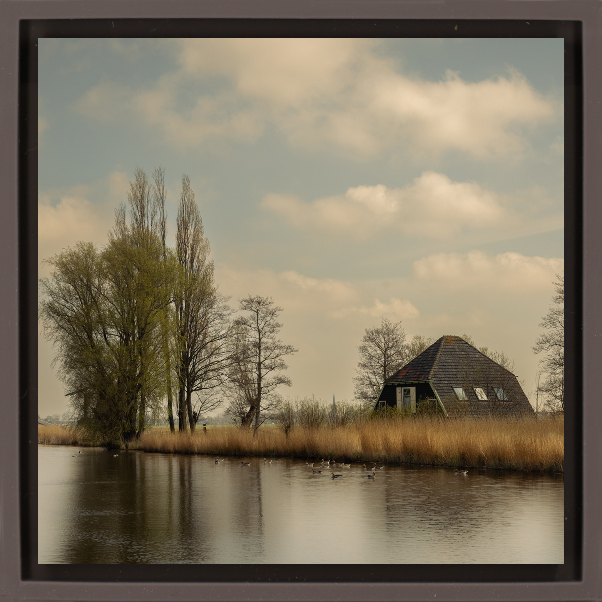 Timeless Holland – Braune Verpackung