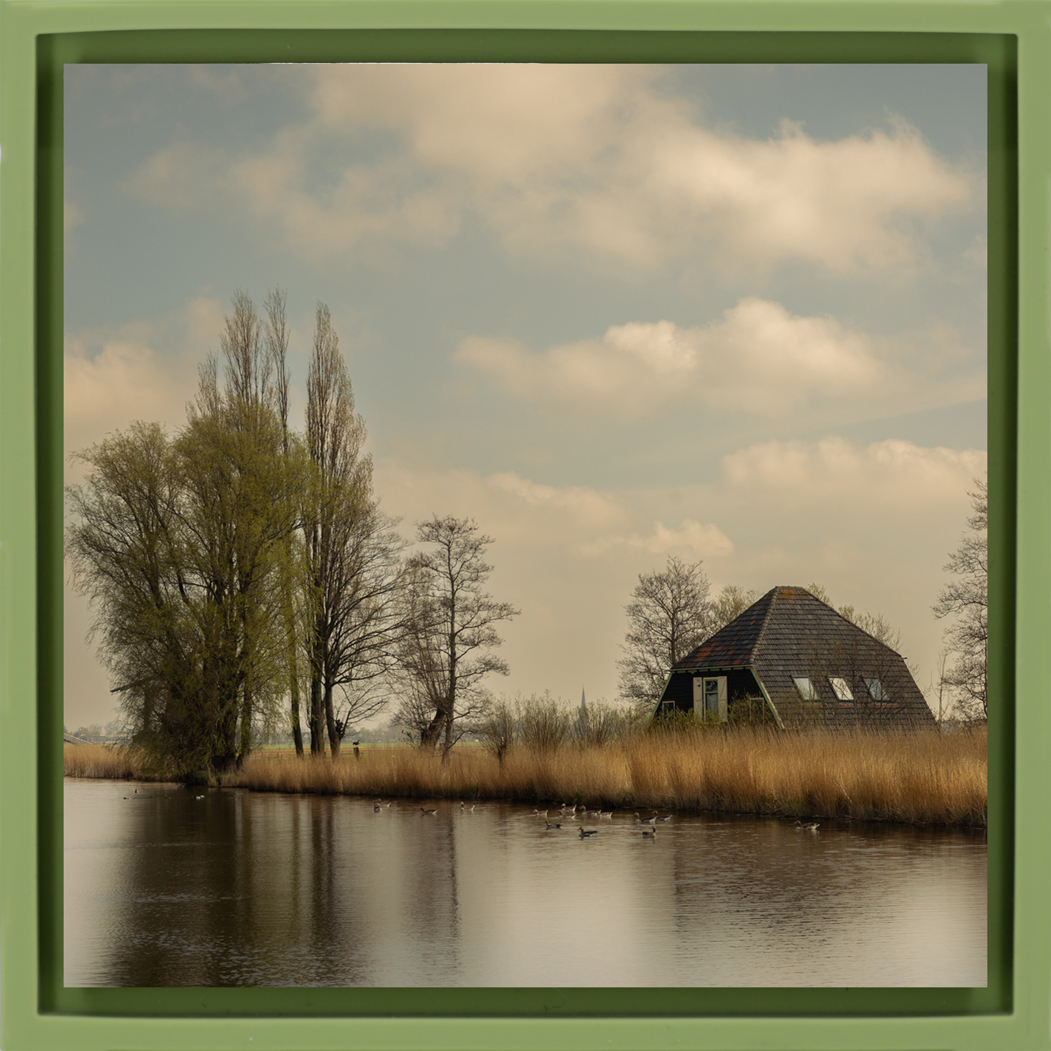 Timeless Holland – Hellgrüne Verpackung