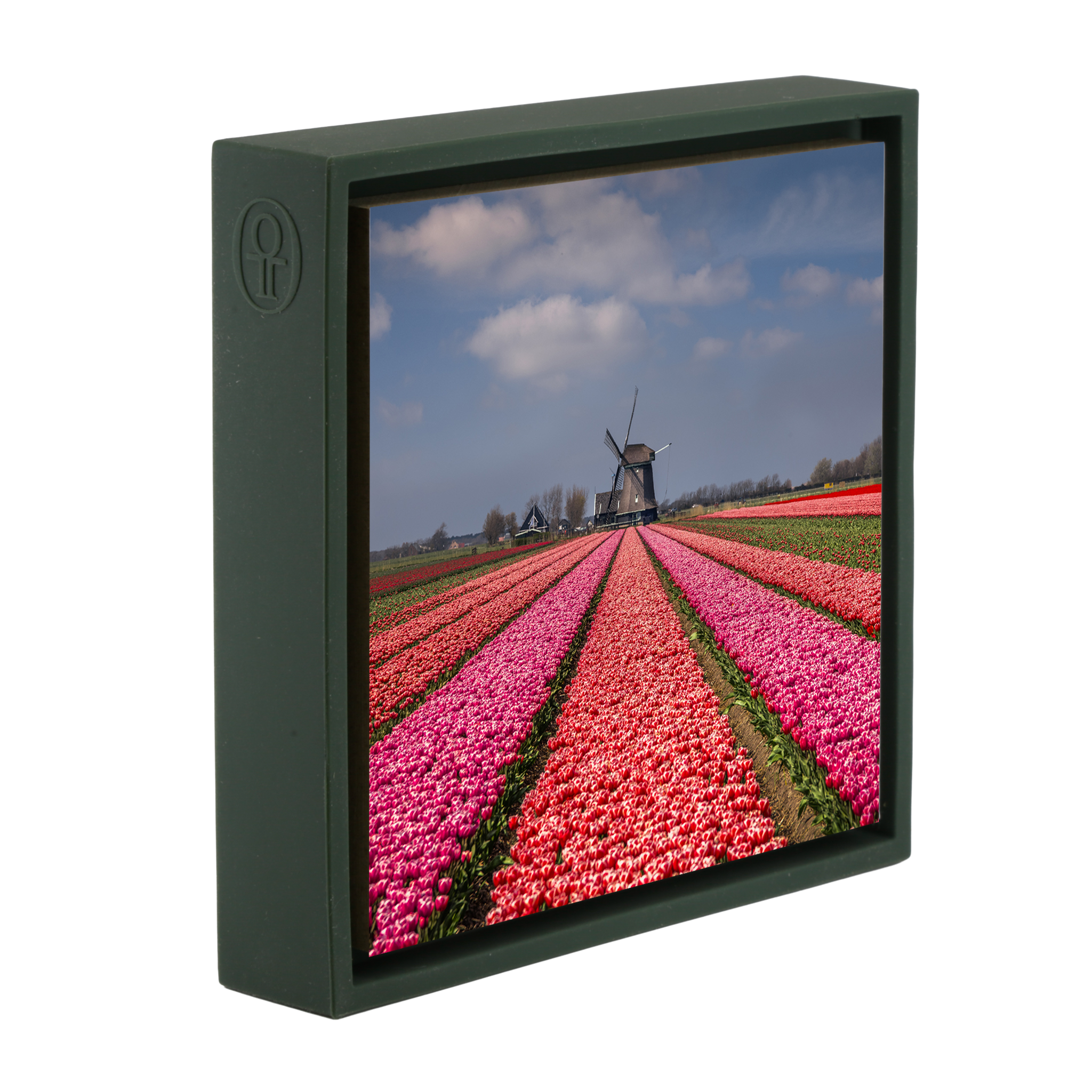 Merveilleusement néerlandais - Wrap vert foncé