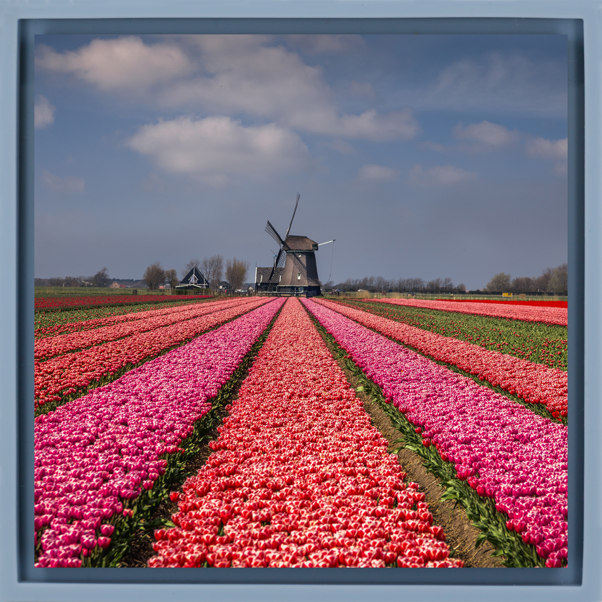 Wonderfully Dutch