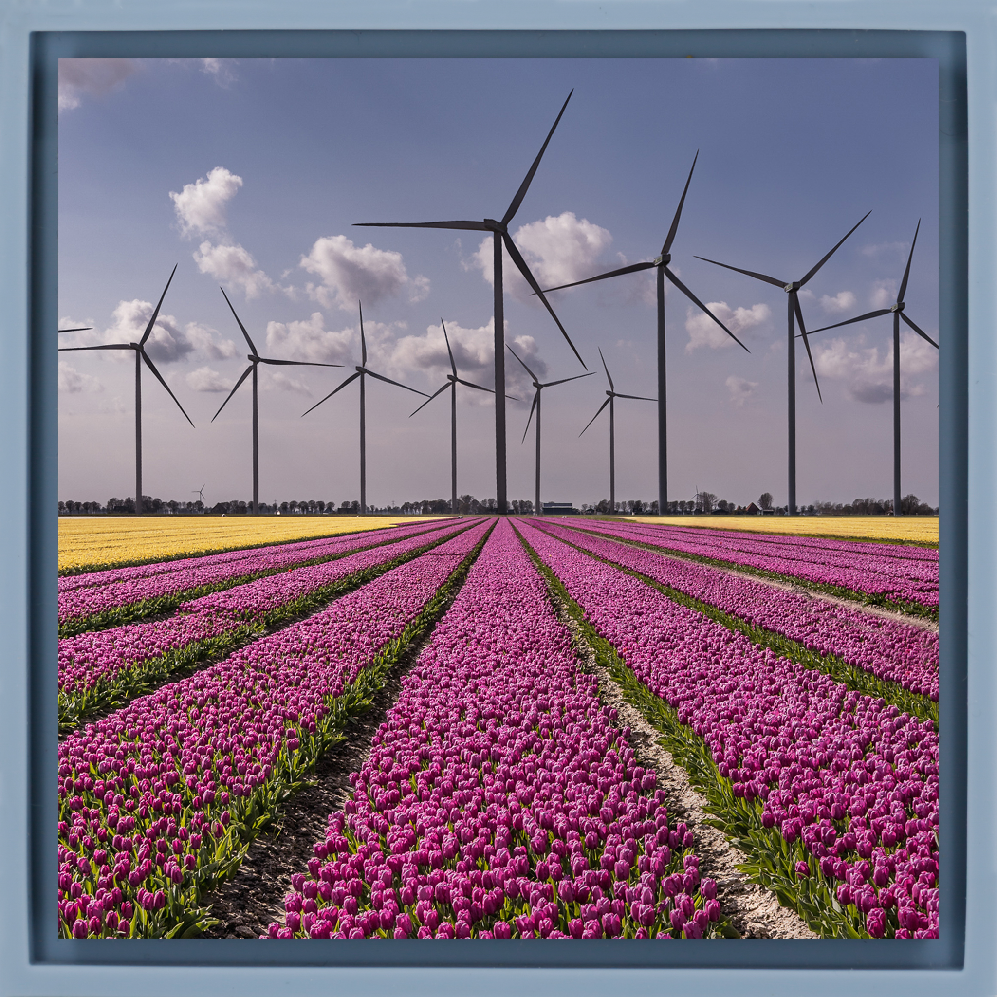 New Dutch Landscape - Lichtblauwe Wrapp