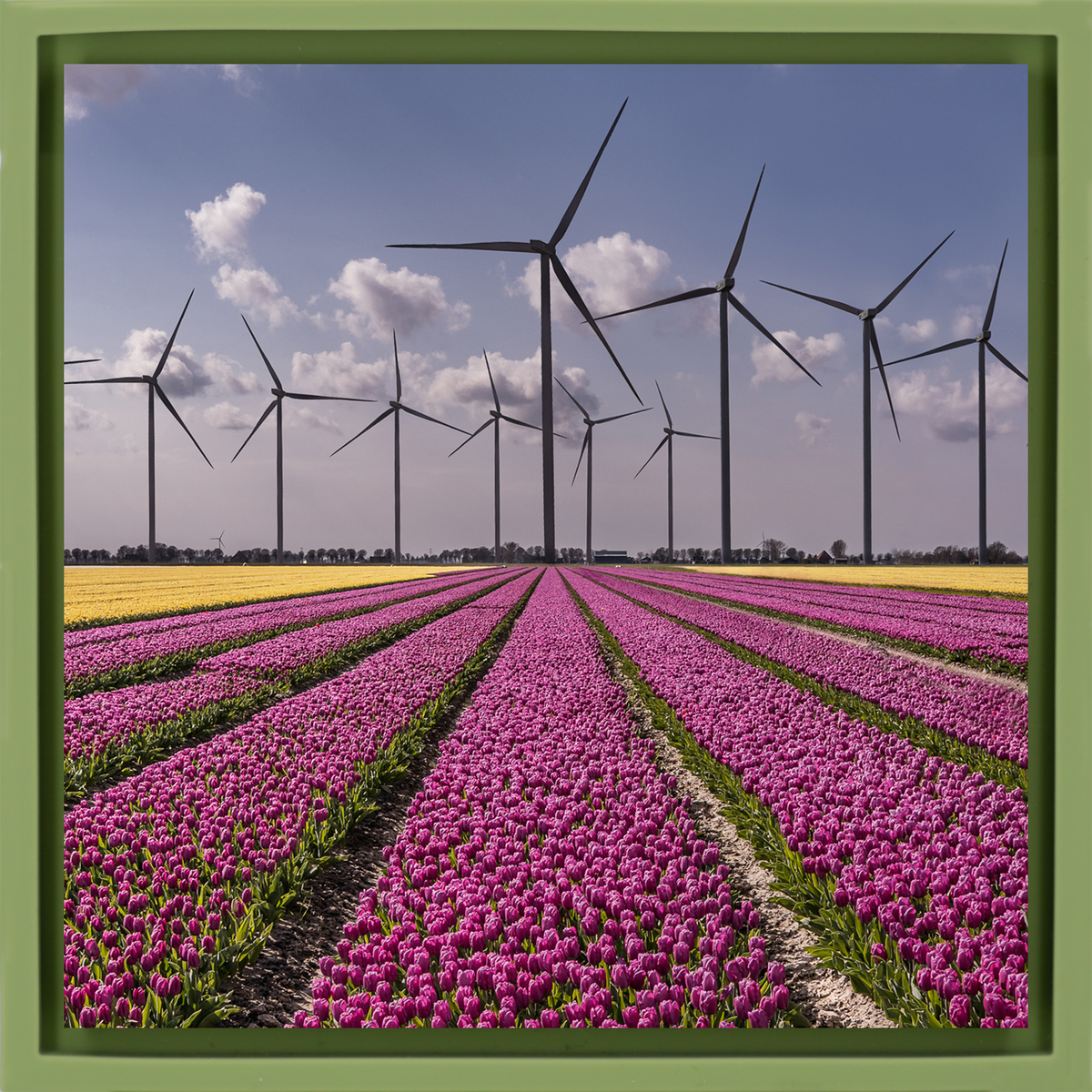 New Dutch Landscape