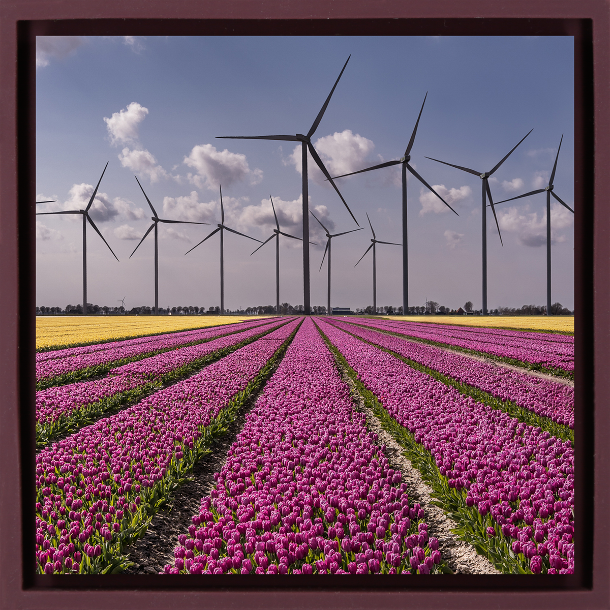 New Dutch Landscape