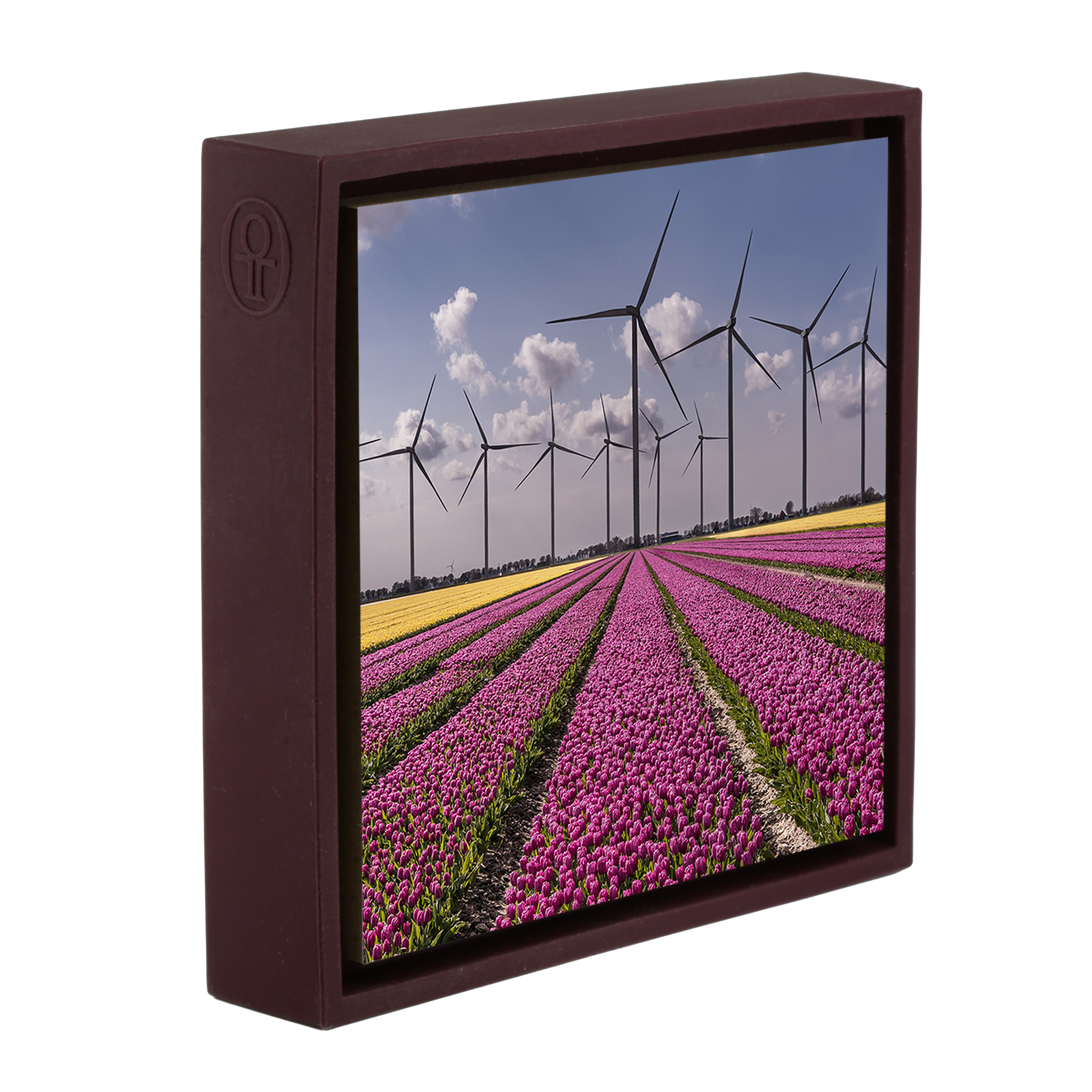 New Dutch Landscape - Paarse Wrapp