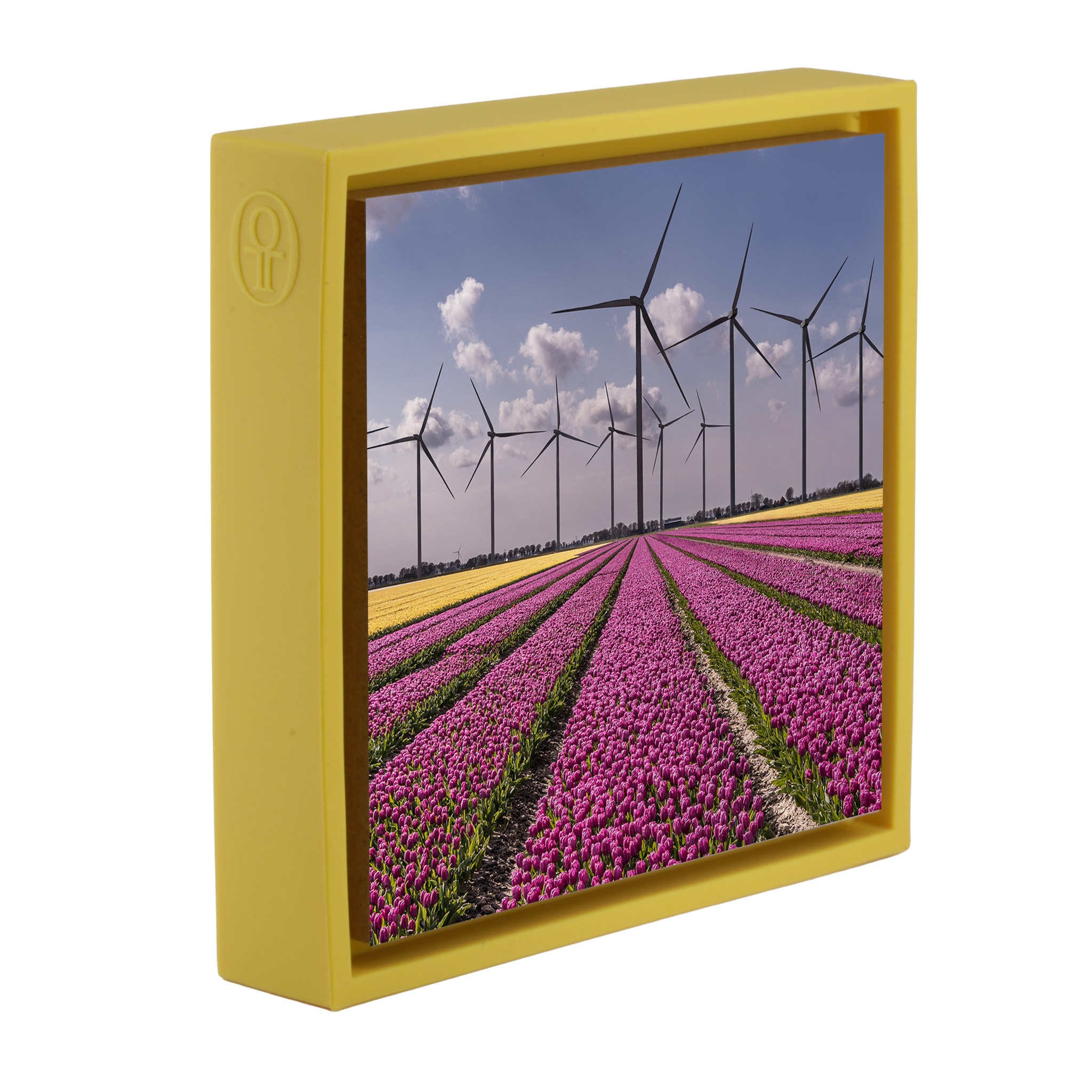 New Dutch Landscape - Gele Wrapp