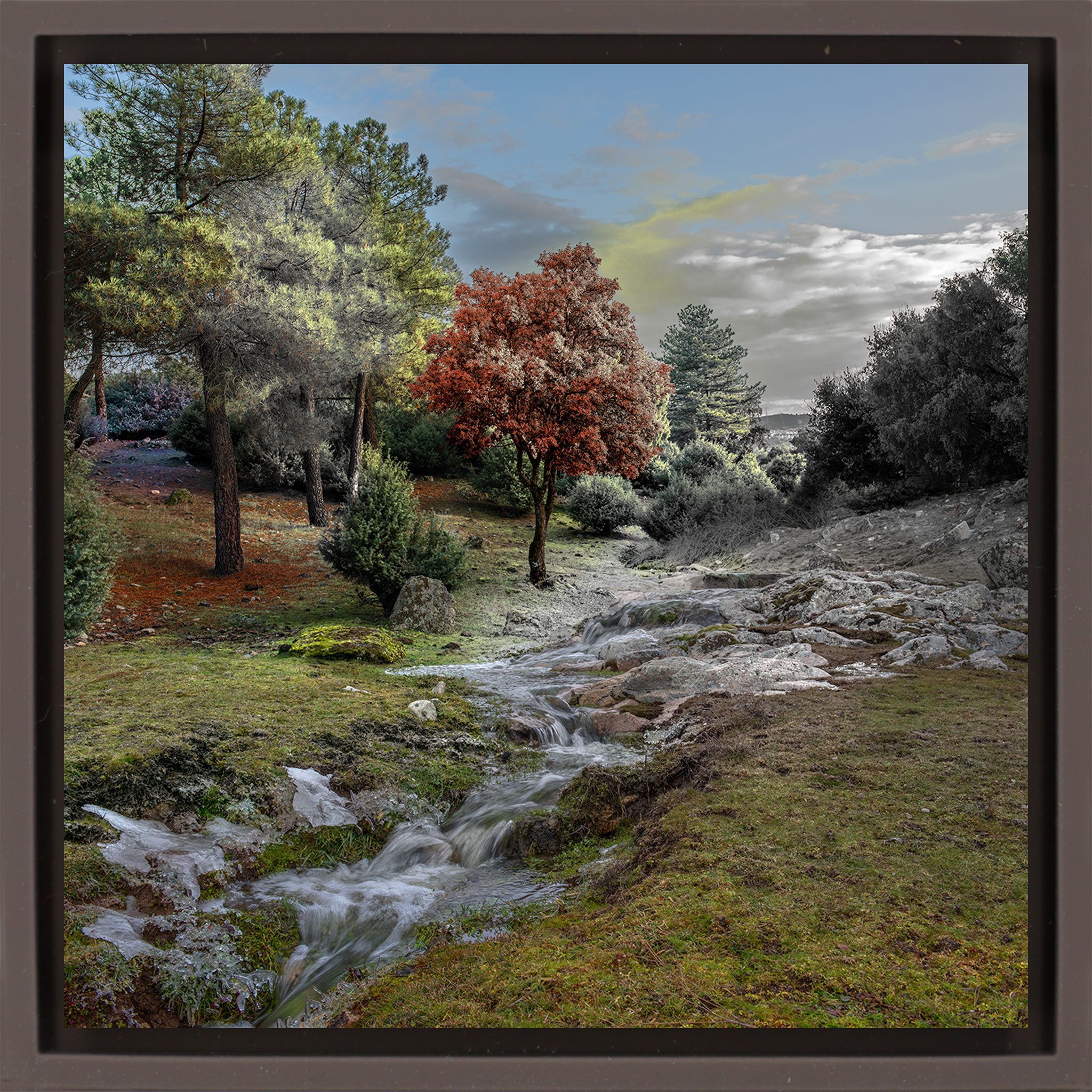 El Color de un Rio- Brown Wrapp